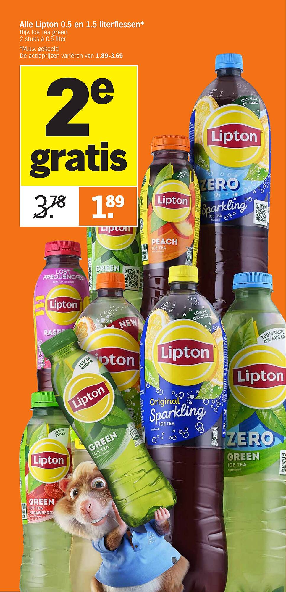 Albert Heijn folder