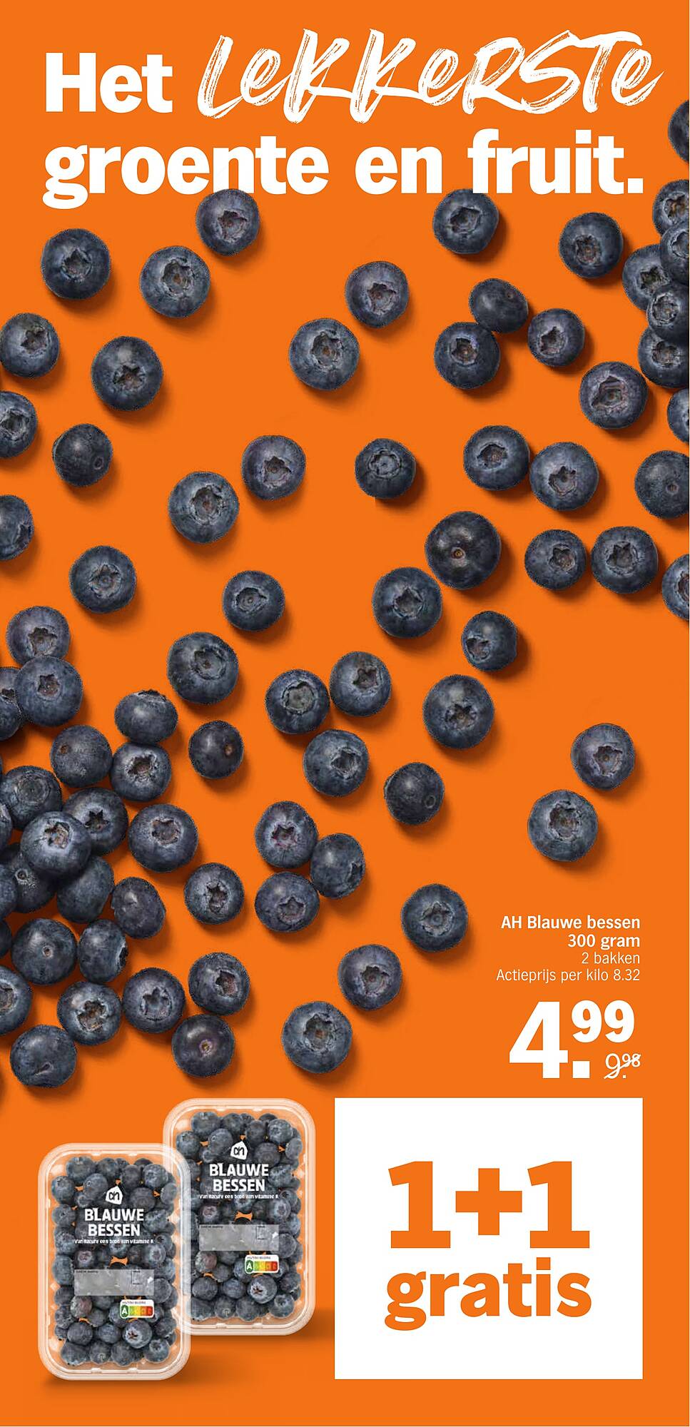 Albert Heijn folder