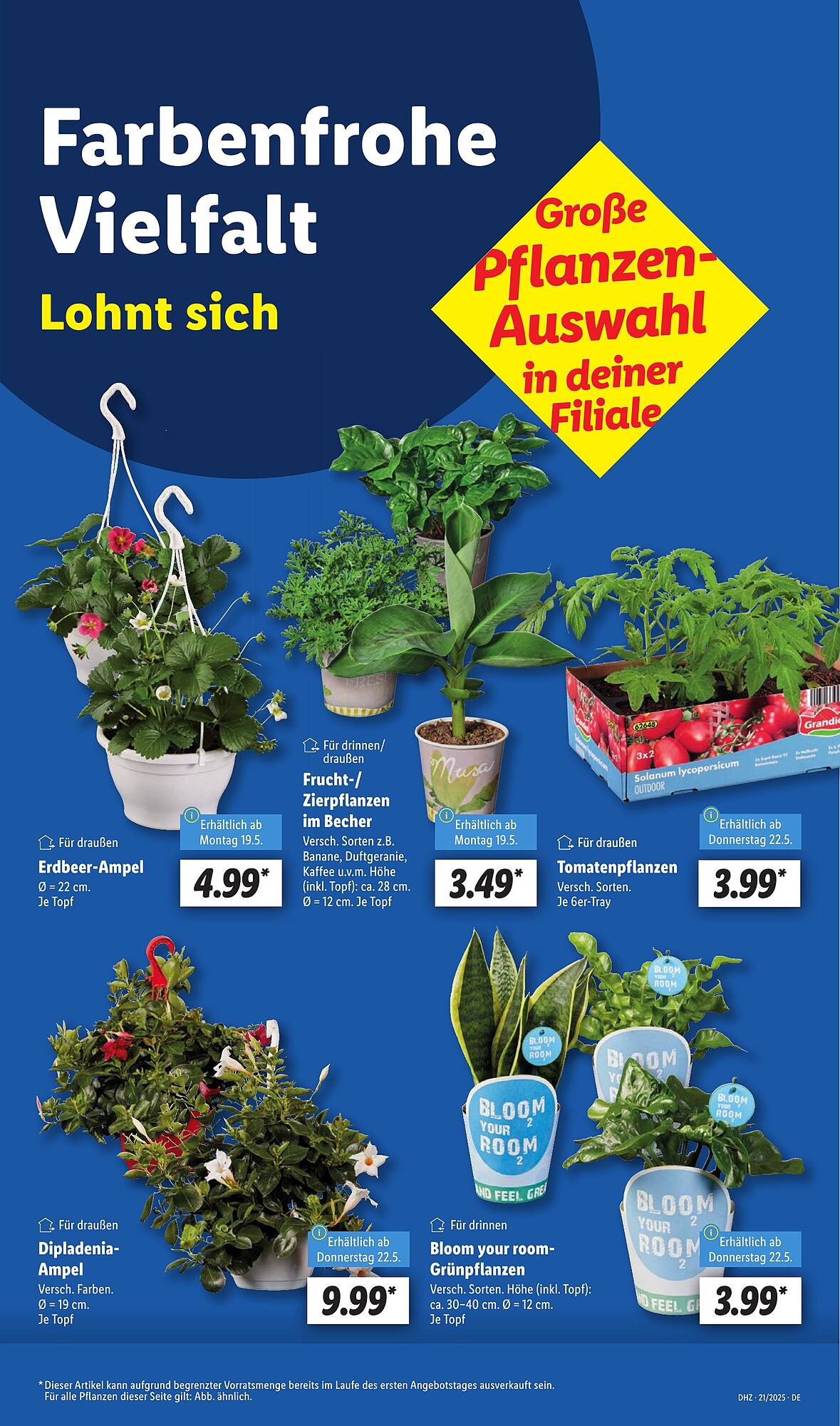 Lidl folder