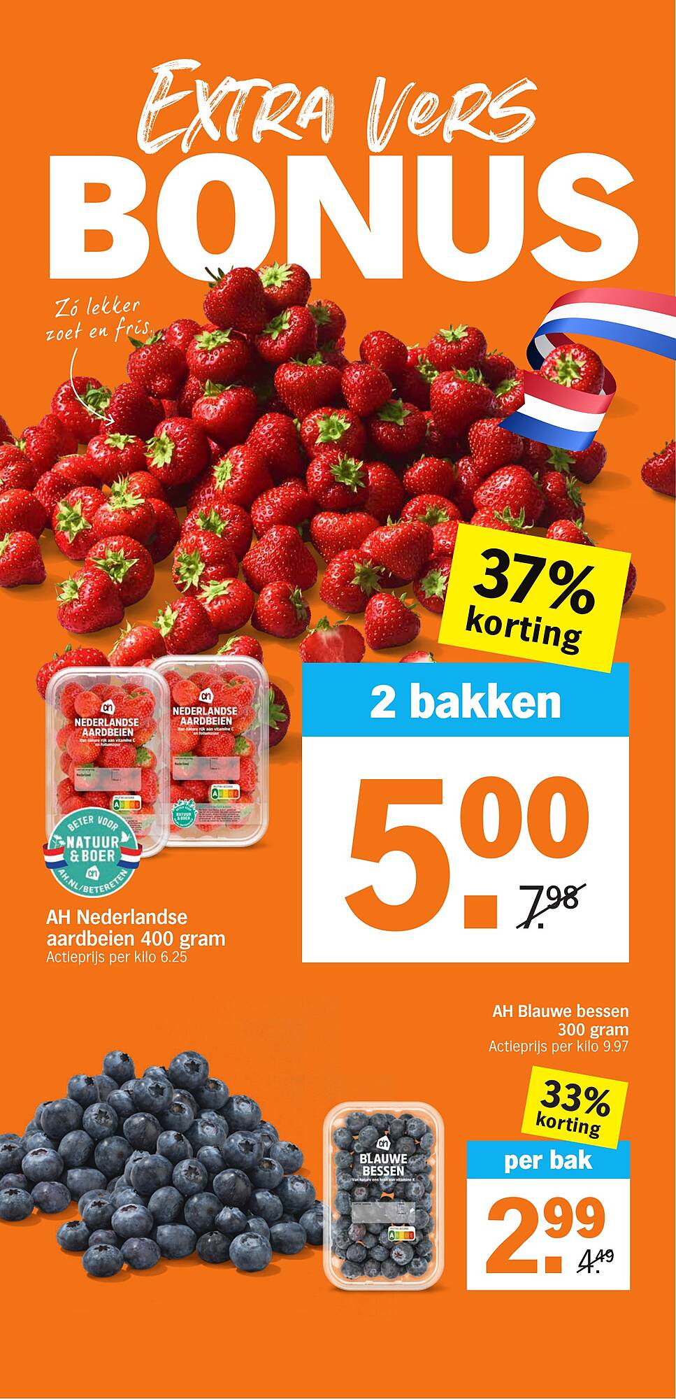 Albert Heijn folder