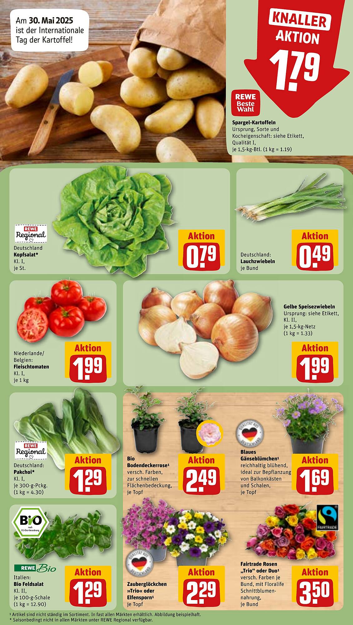 REWE folder