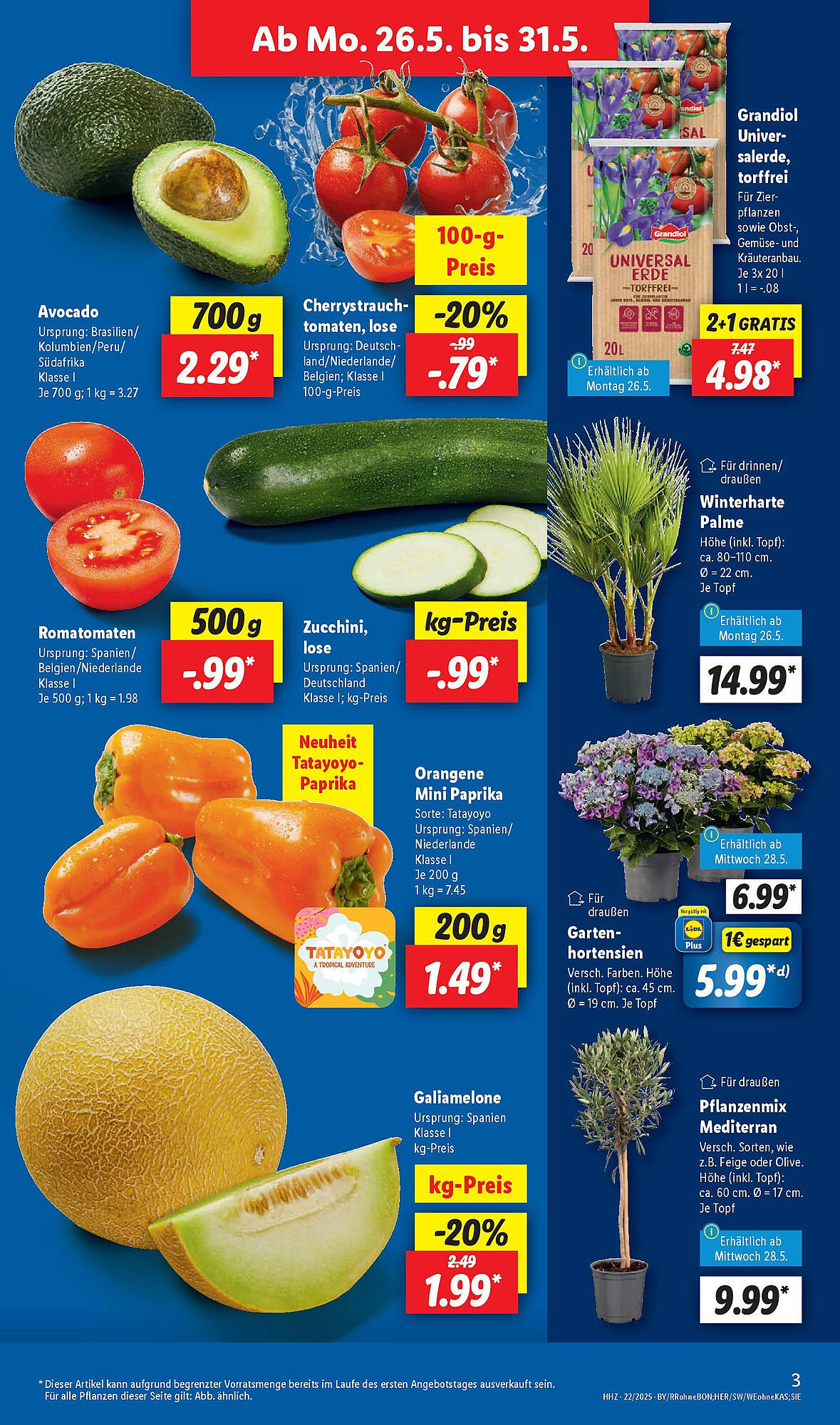 Lidl folder