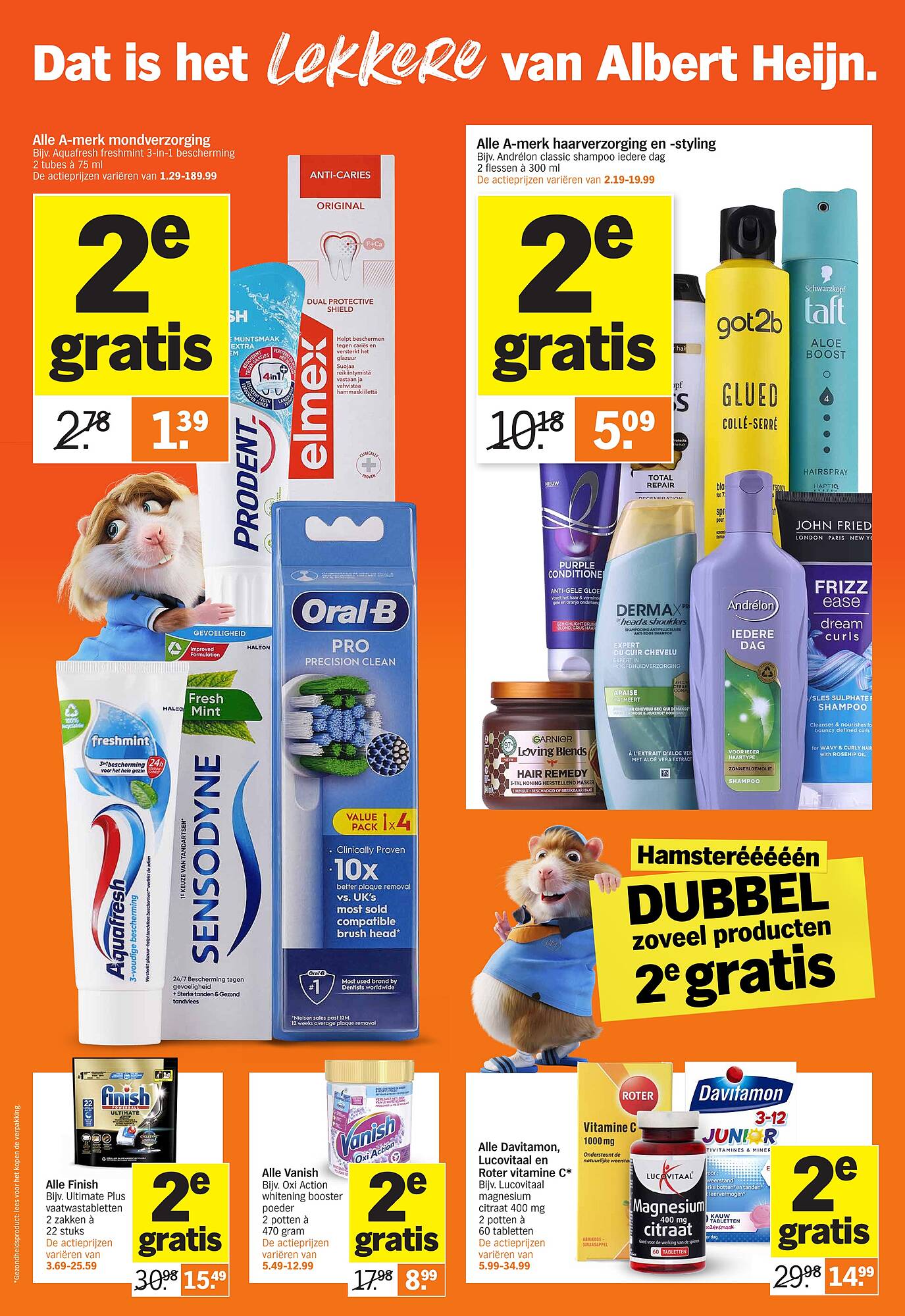 Albert Heijn folder