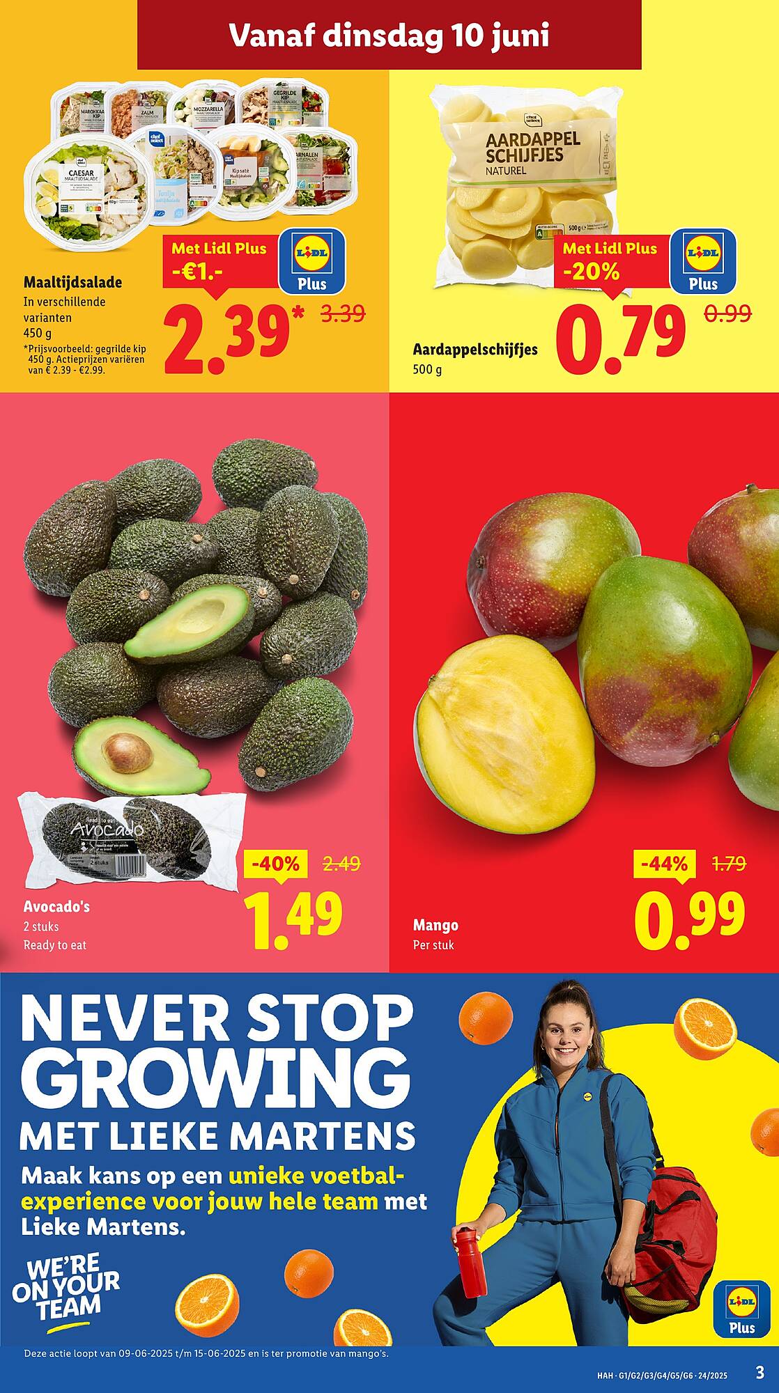 Lidl folder