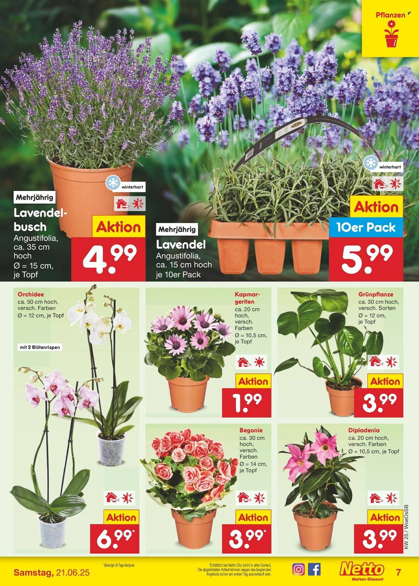 Netto Marken-Discount folder