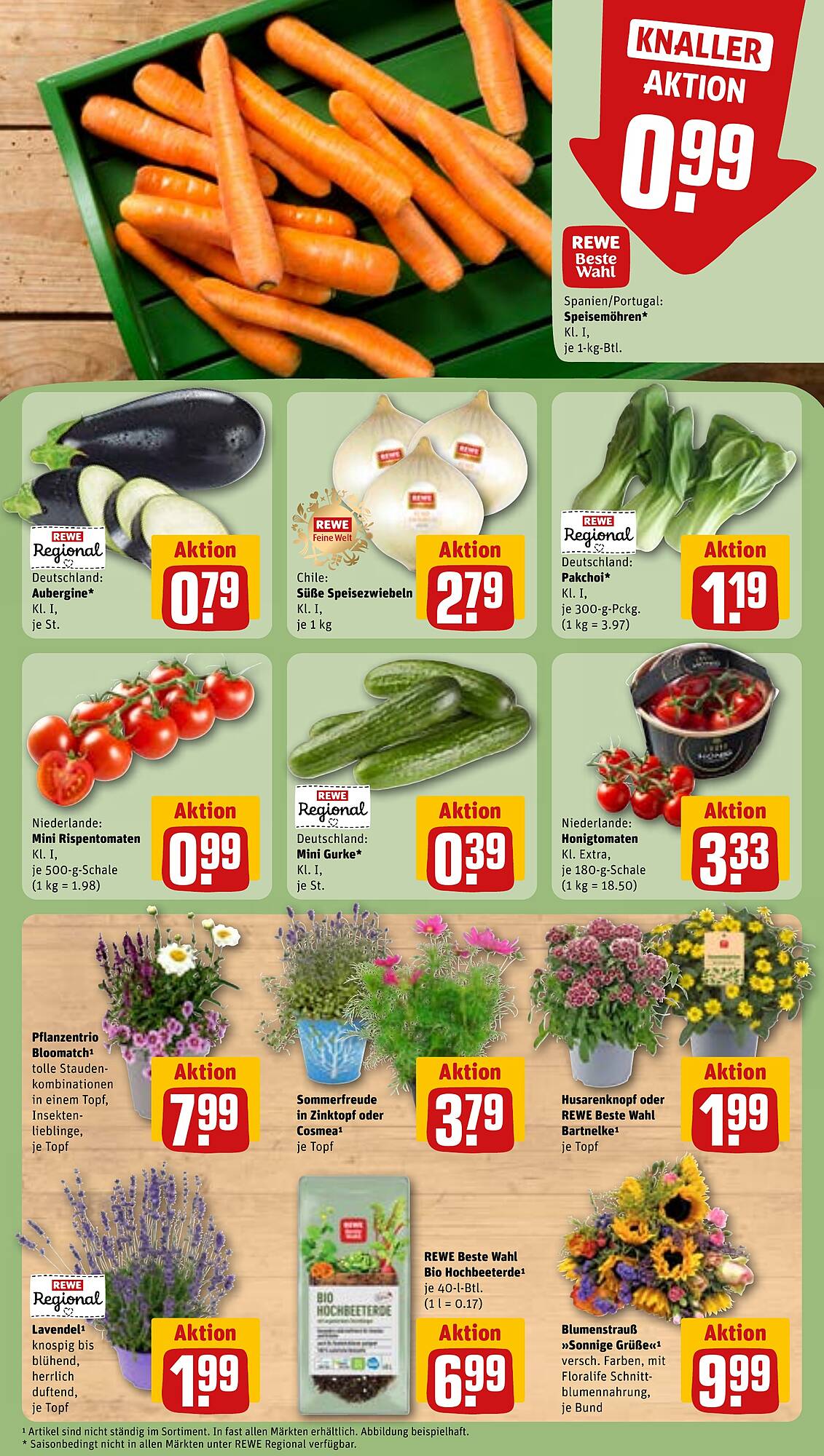 REWE folder
