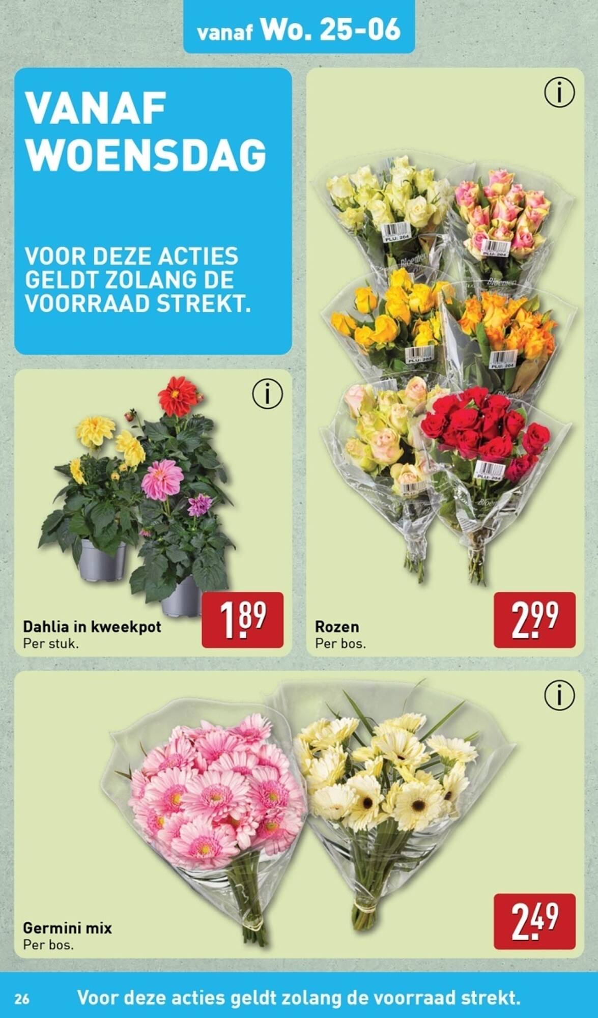 ALDI folder
