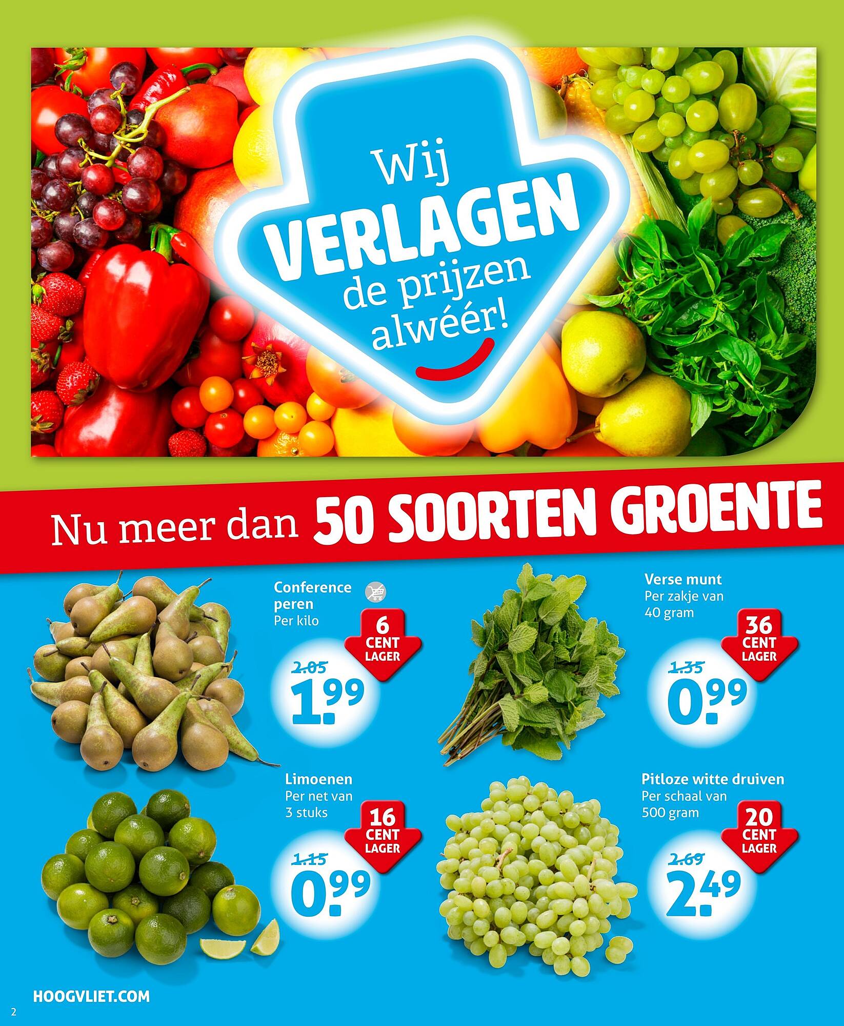 Hoogvliet folder