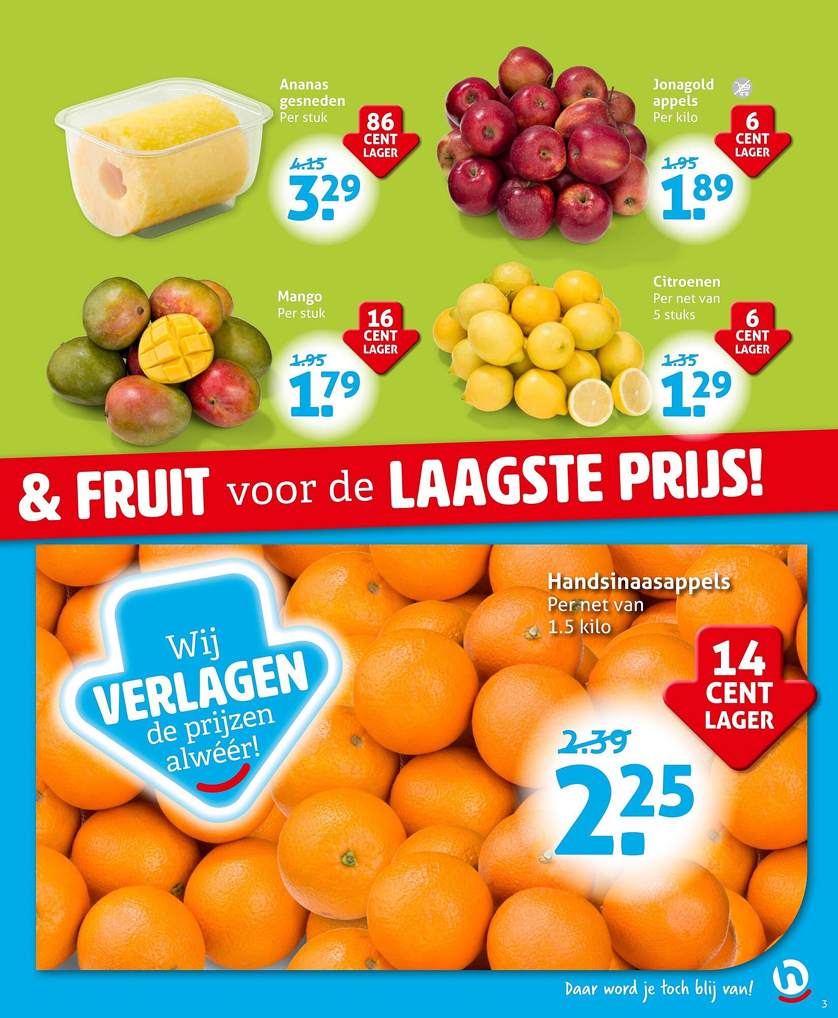 Hoogvliet folder