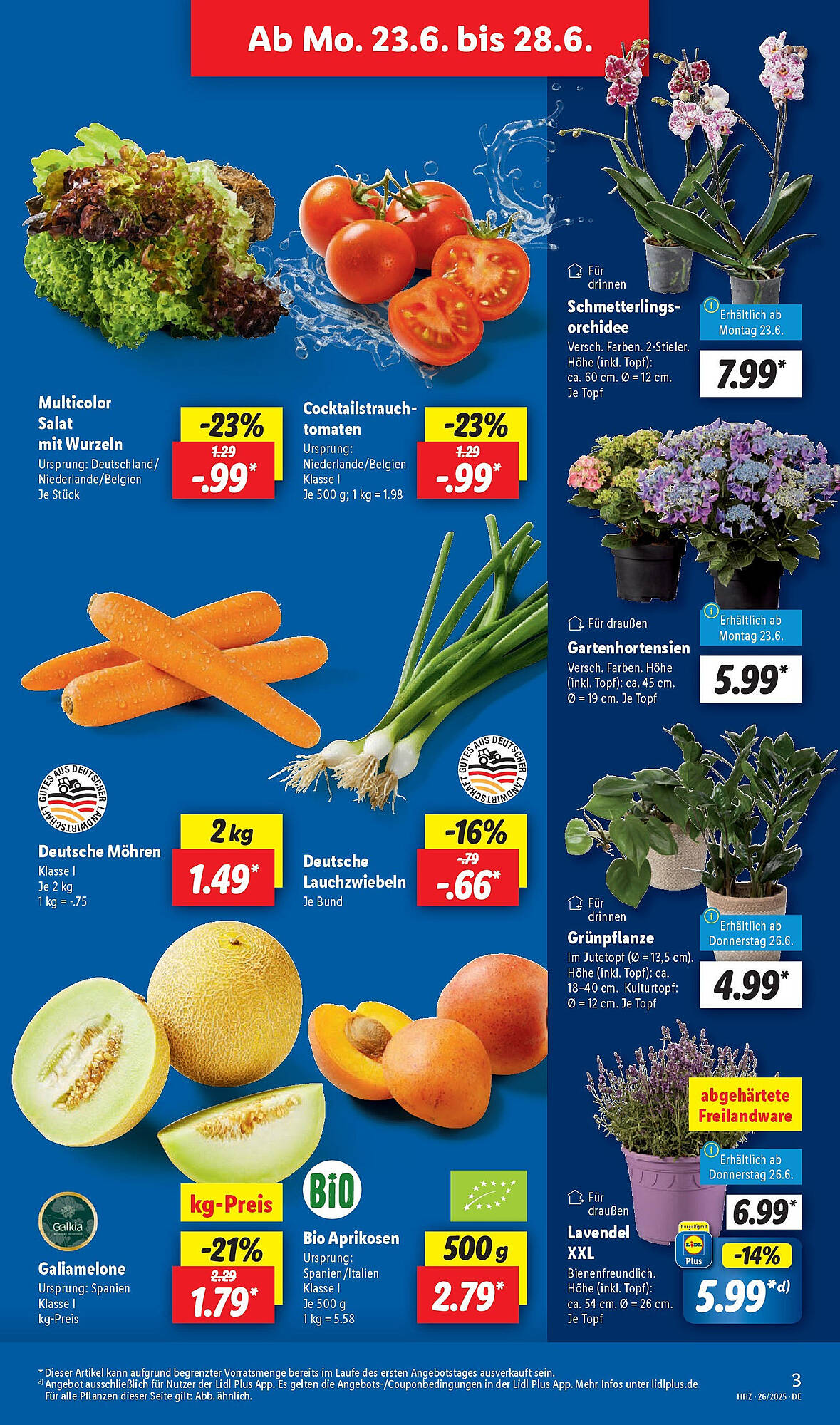 Lidl folder