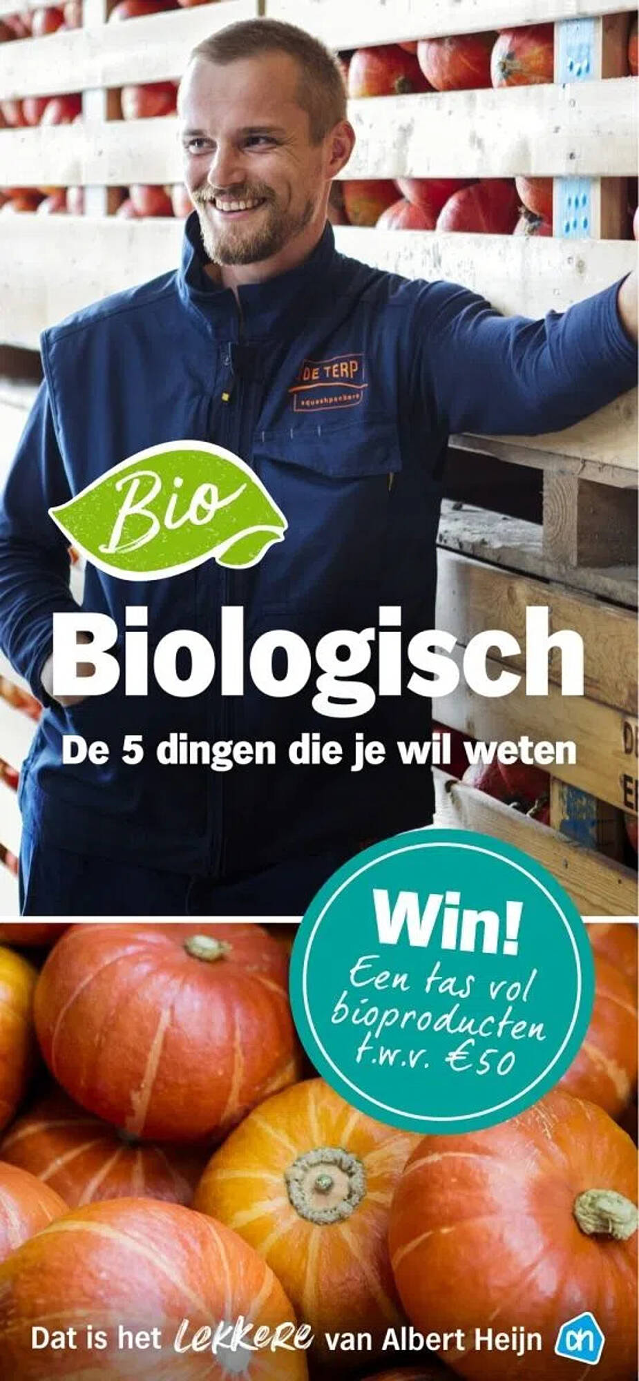 Albert Heijn folder