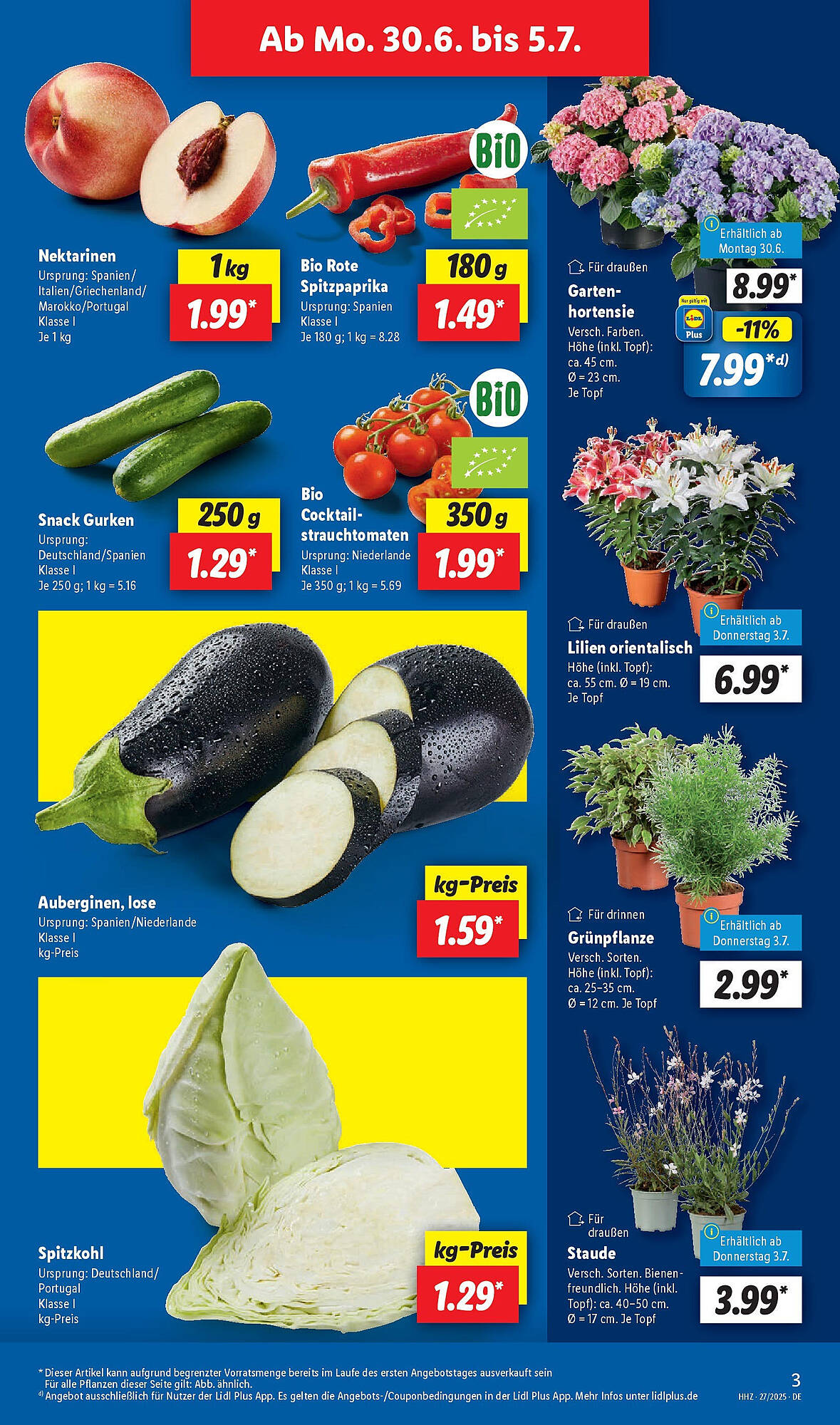 Lidl folder