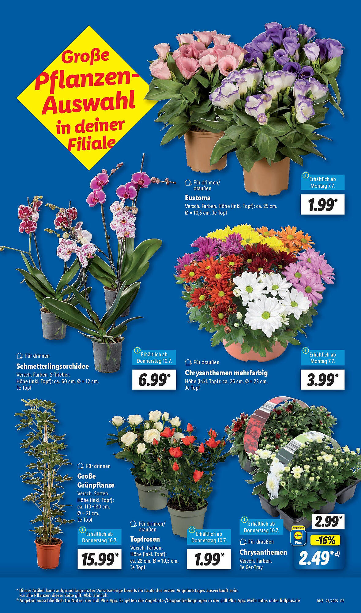 Lidl folder - Pagina 5