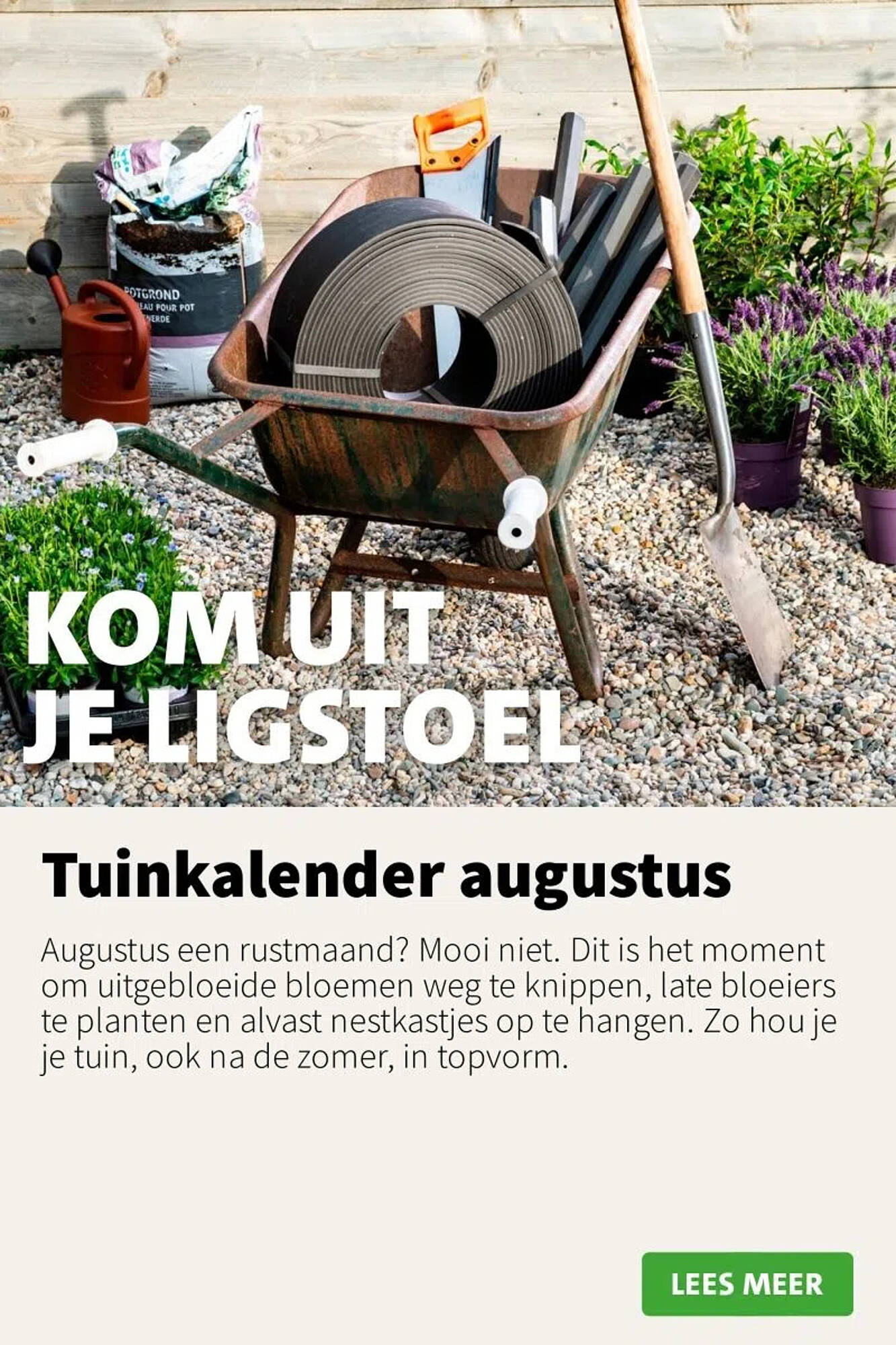 Intratuin folder - Pagina 4