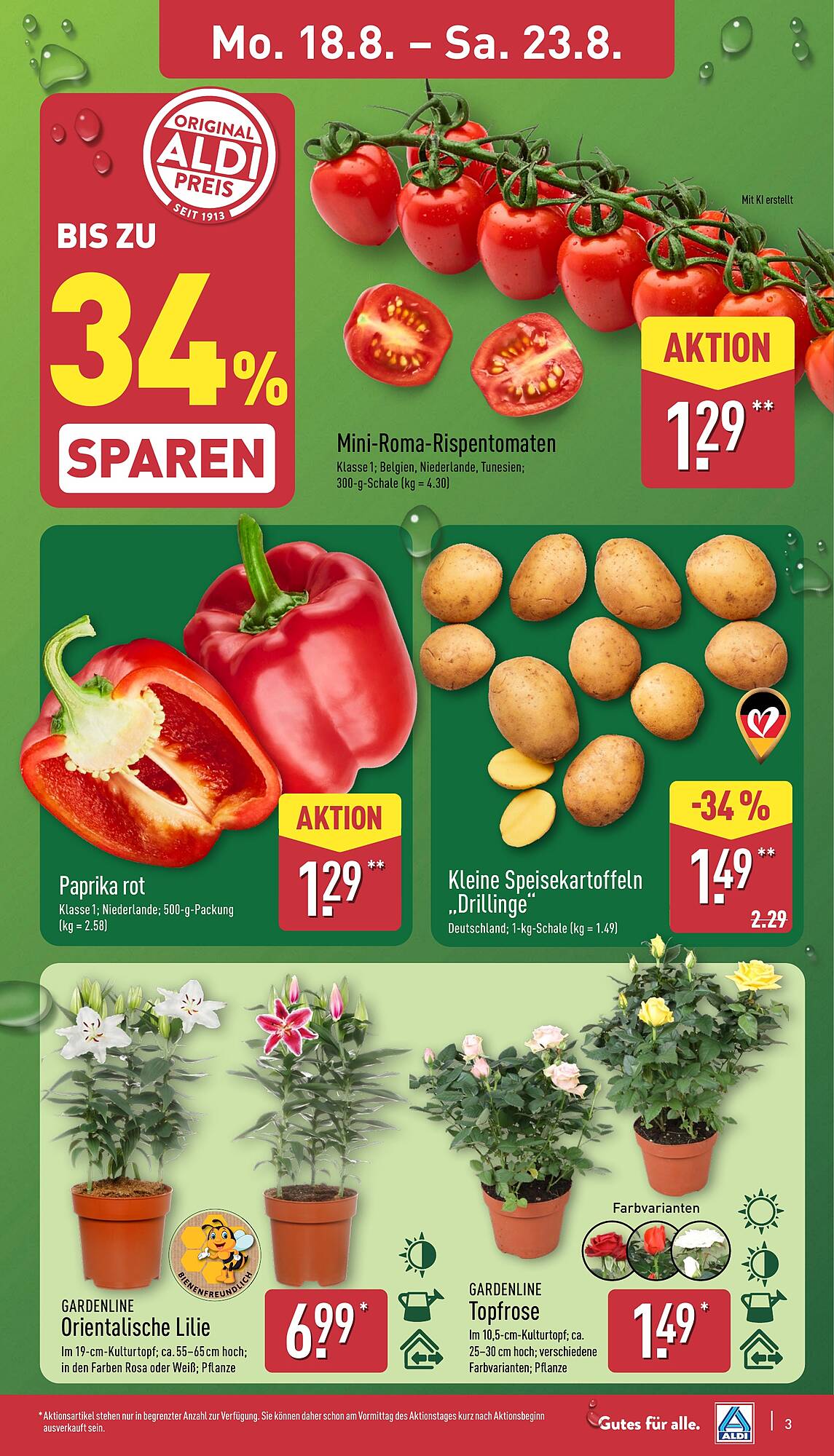 Aldi Nord folder - Pagina 3