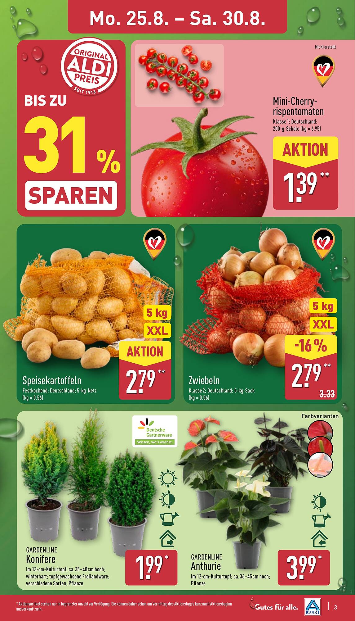 Aldi Nord folder - Pagina 3