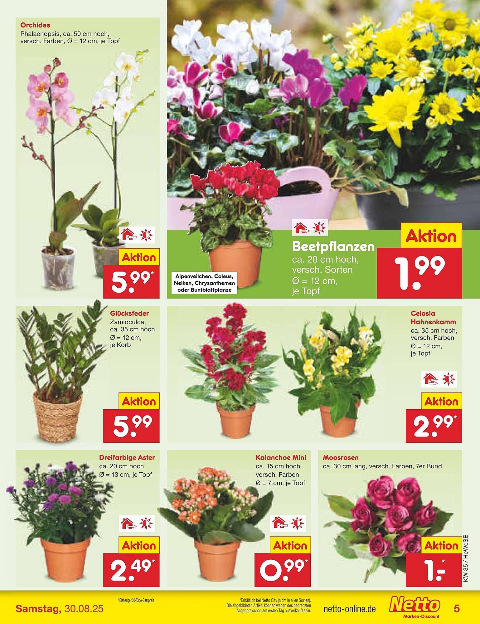 Netto Marken-Discount folder - Pagina 5