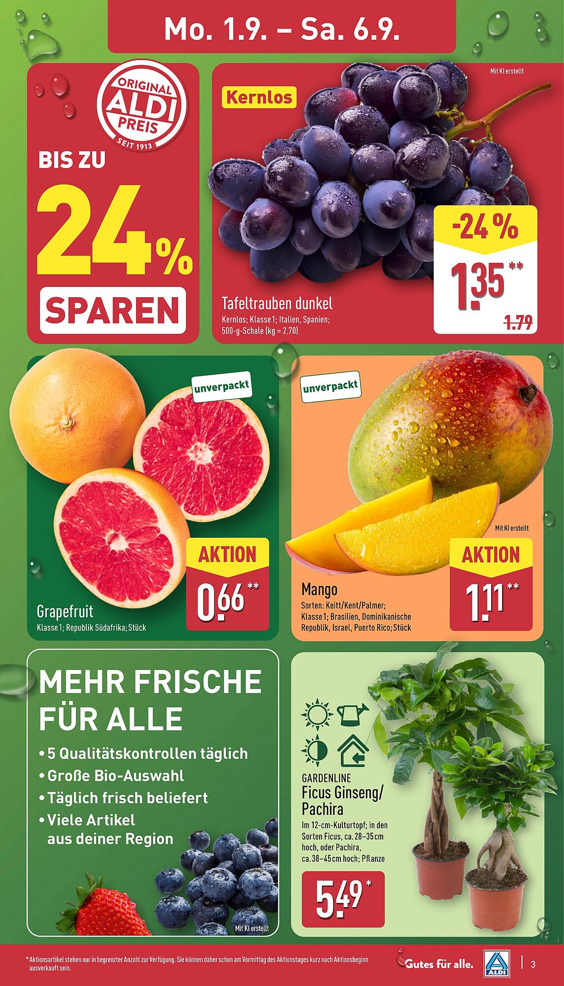 Aldi Nord folder - Pagina 3