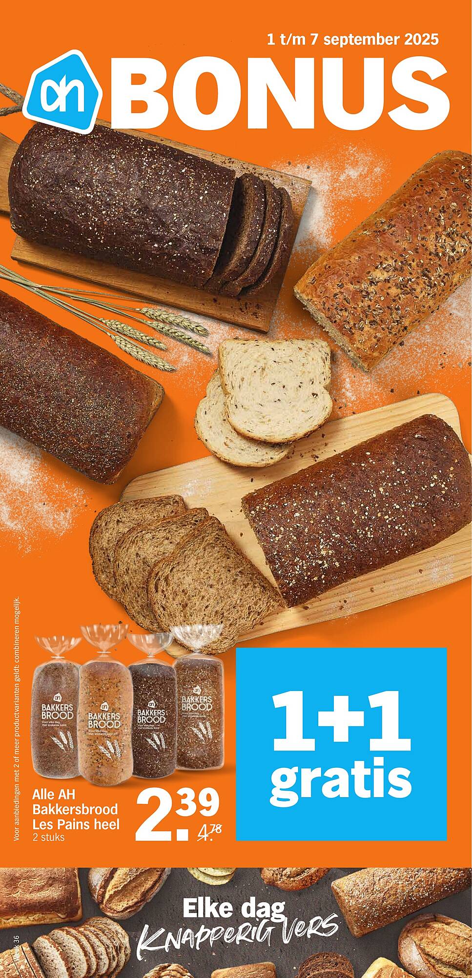 Albert Heijn folder - Pagina 1