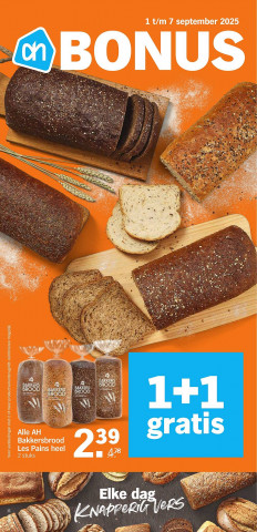 Albert Heijn folder