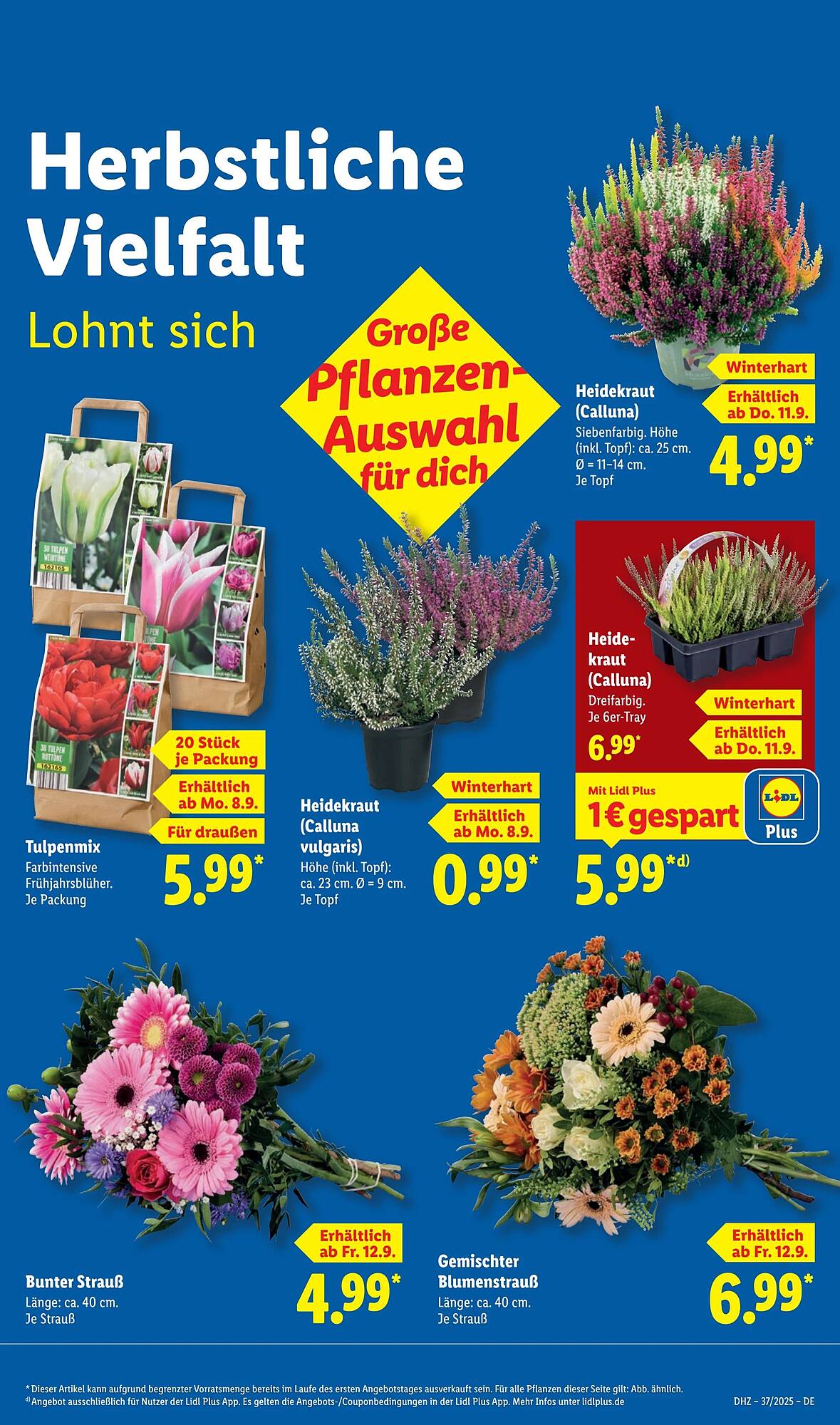 Lidl folder - Pagina 9
