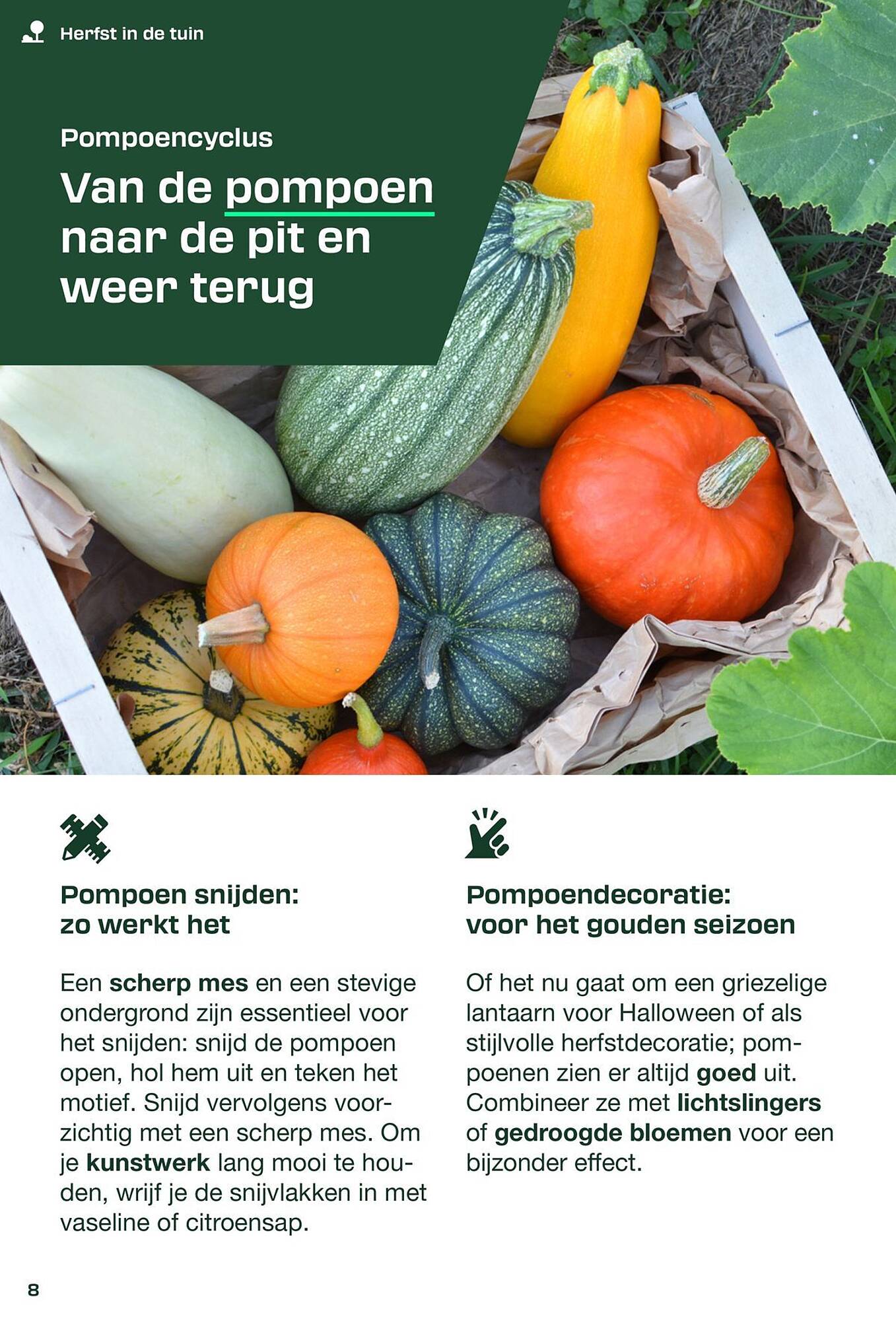 Lidl folder - Pagina 8