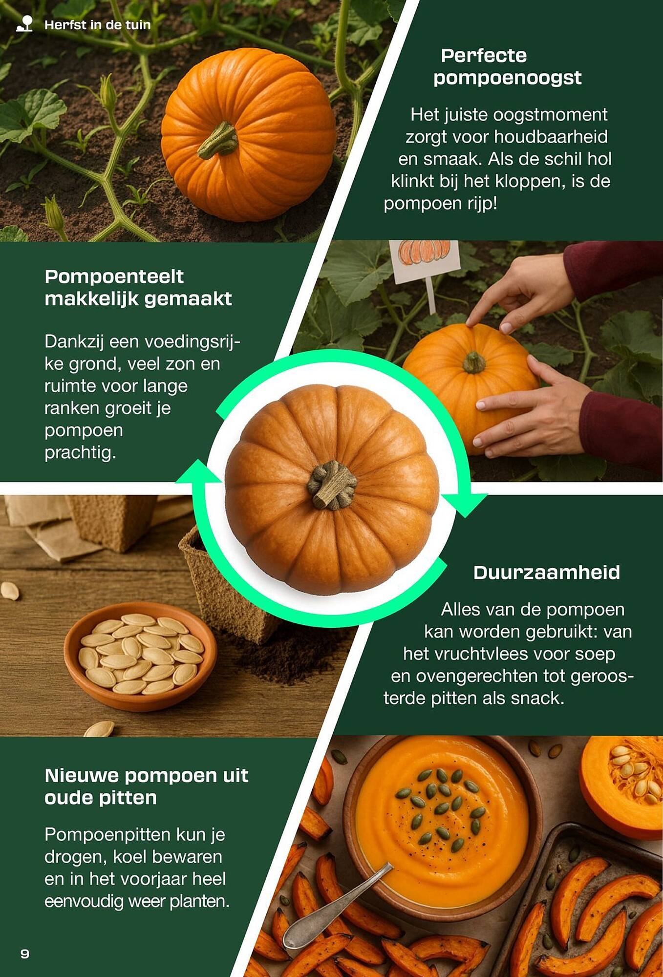 Lidl folder - Pagina 9