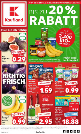 Kaufland folder