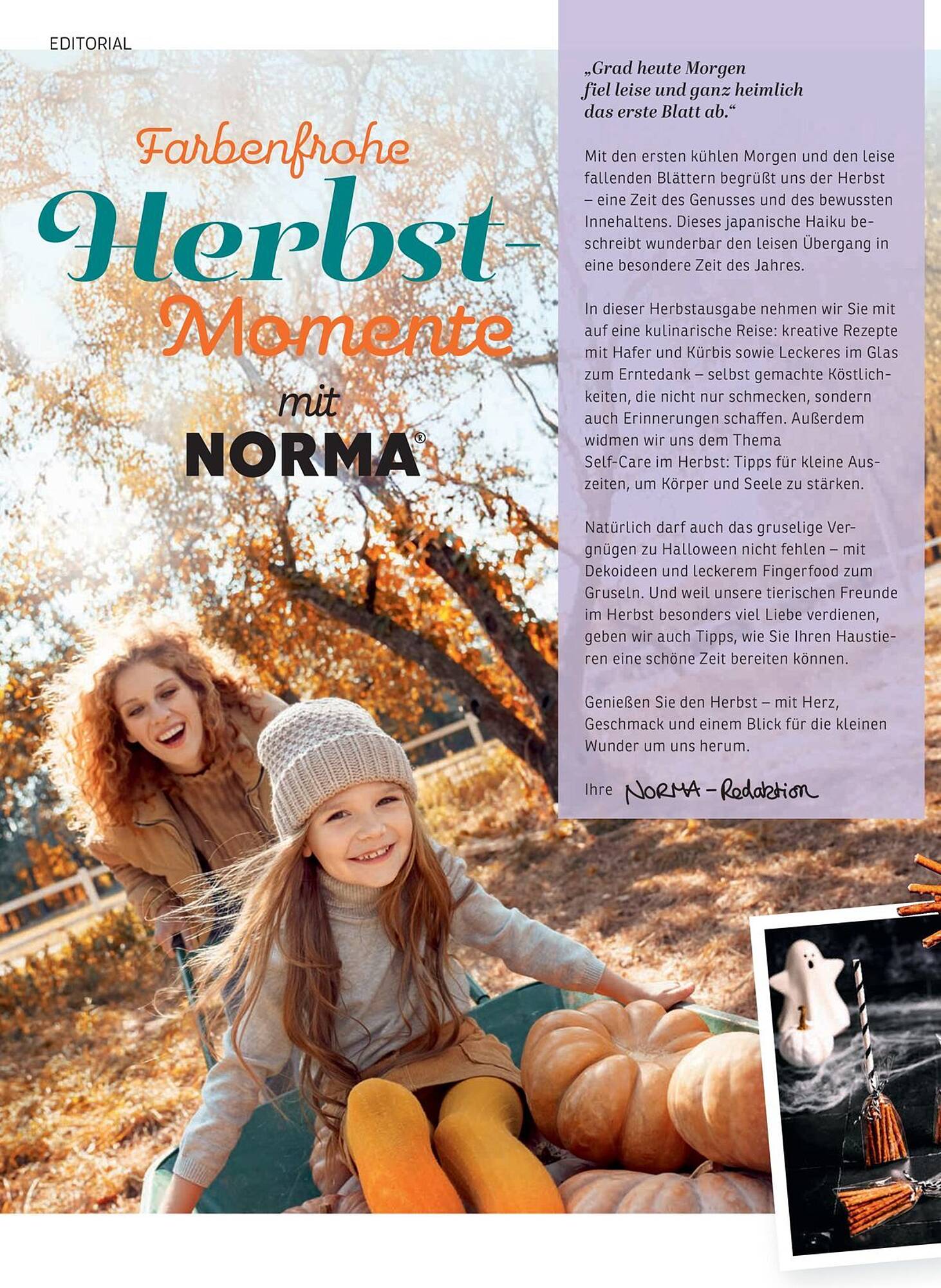 Norma folder - Pagina 2