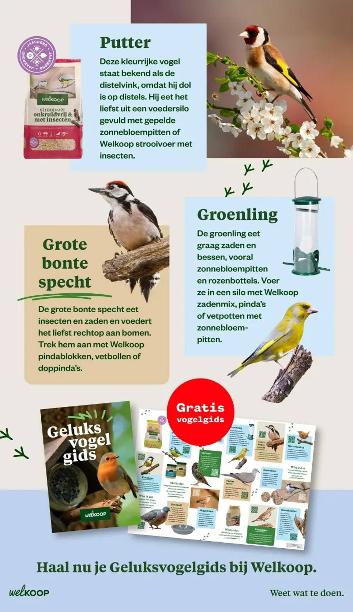 Welkoop folder - Pagina 7