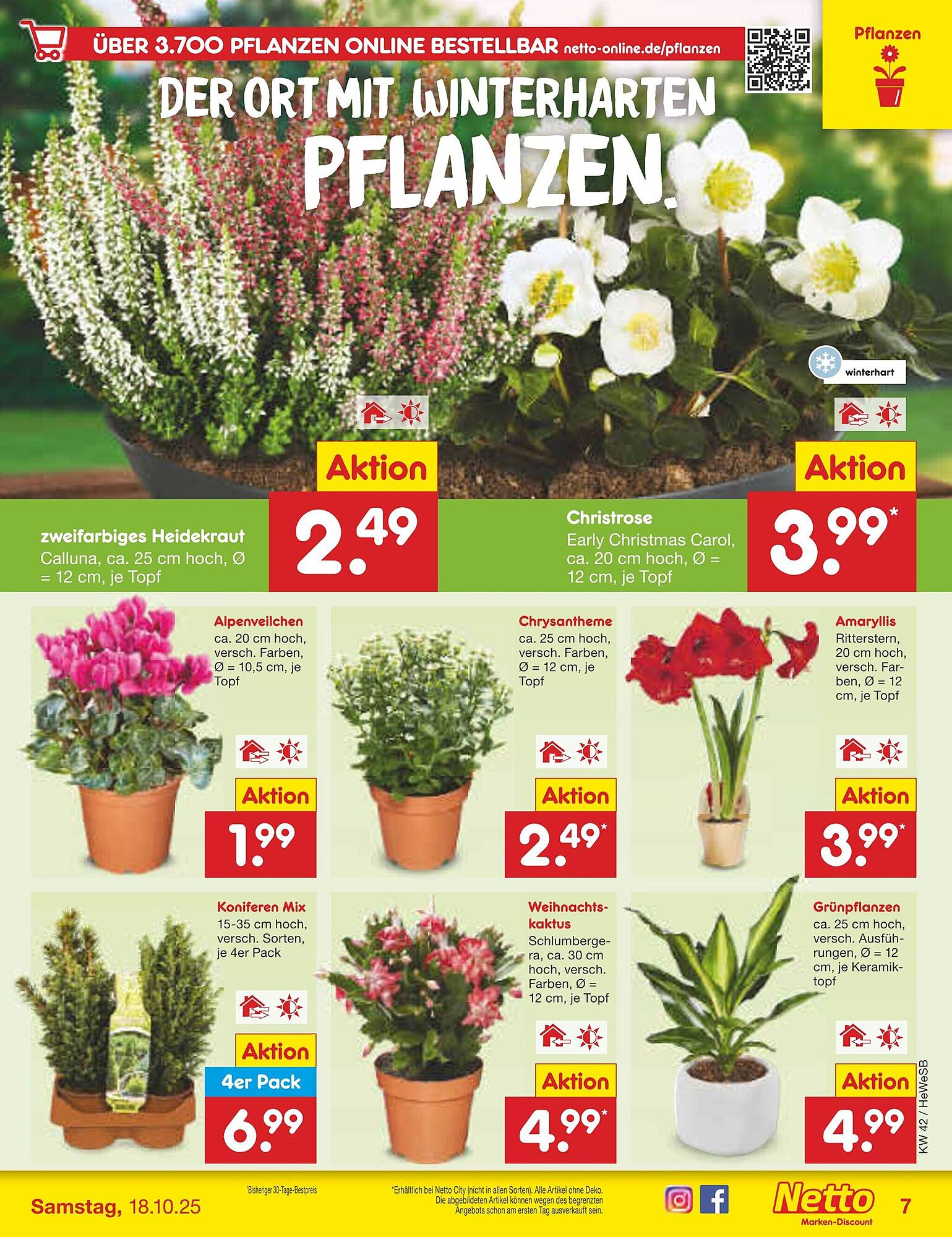 Netto Marken-Discount folder - Pagina 7