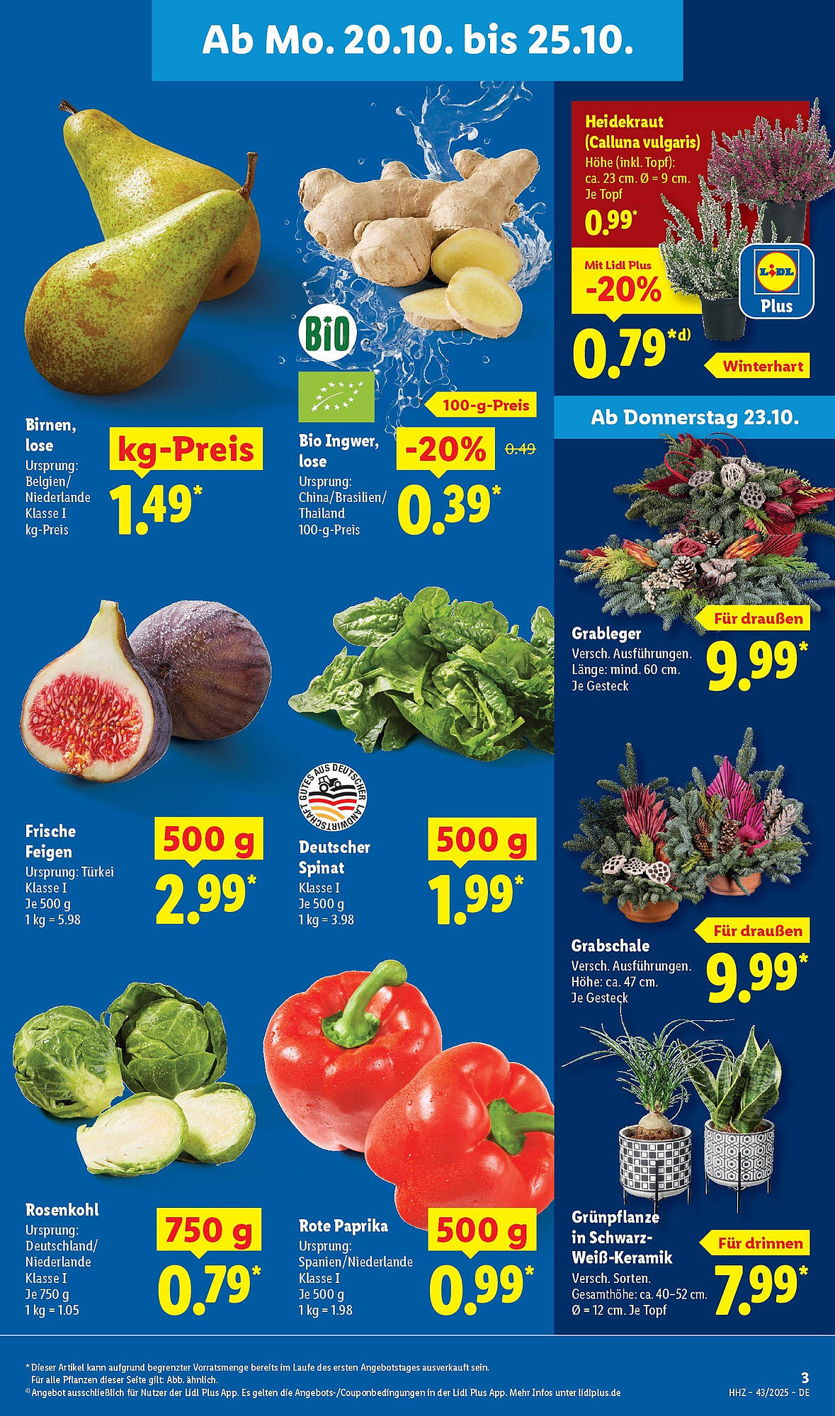 Lidl folder - Pagina 3
