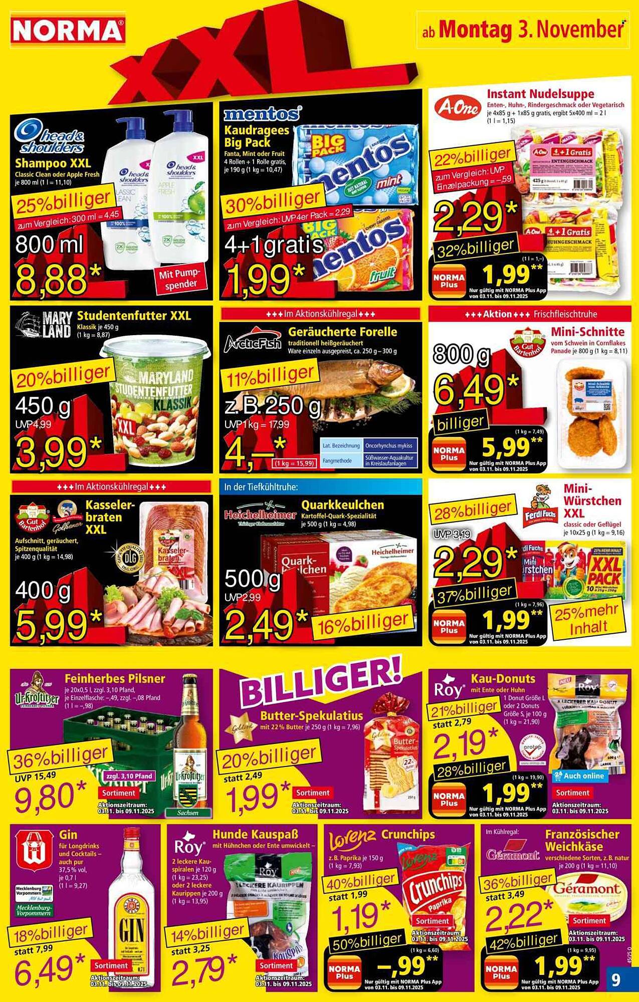 Norma folder - Pagina 9