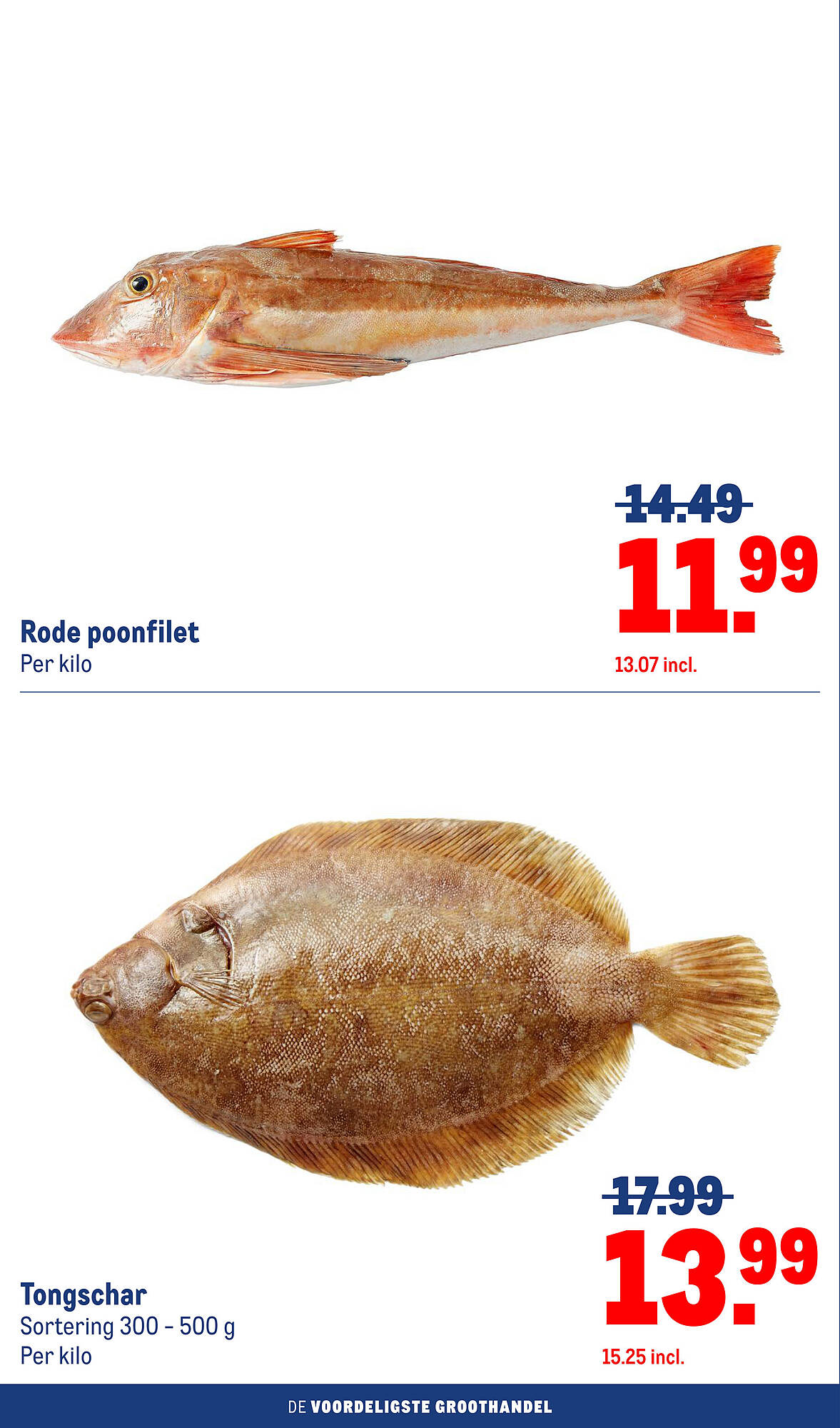 Makro folder - Pagina 4