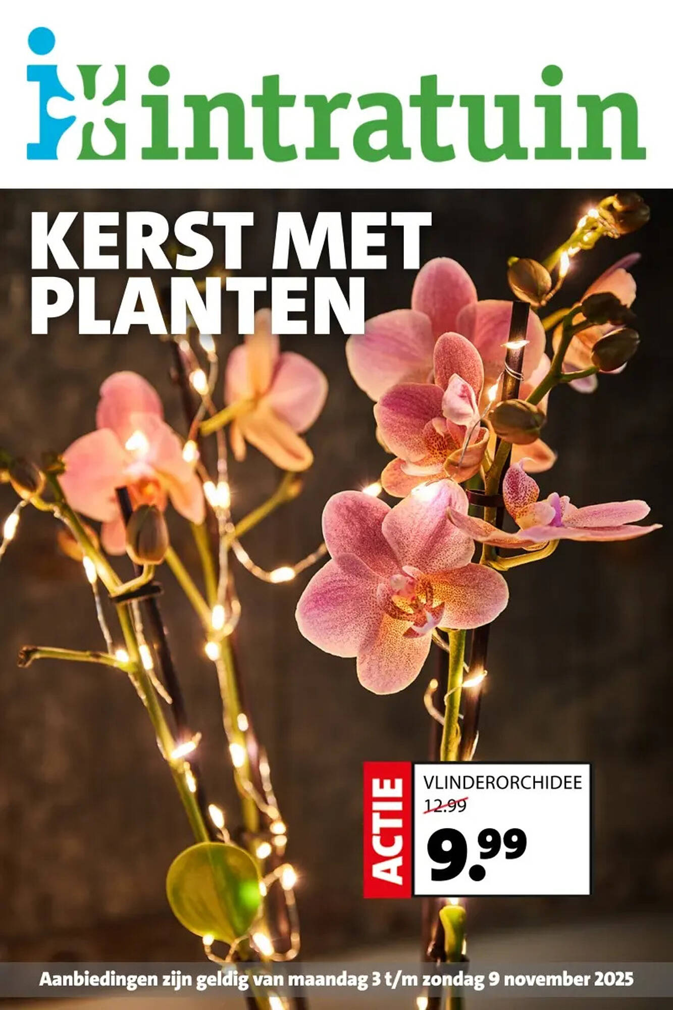 Intratuin folder - Pagina 1