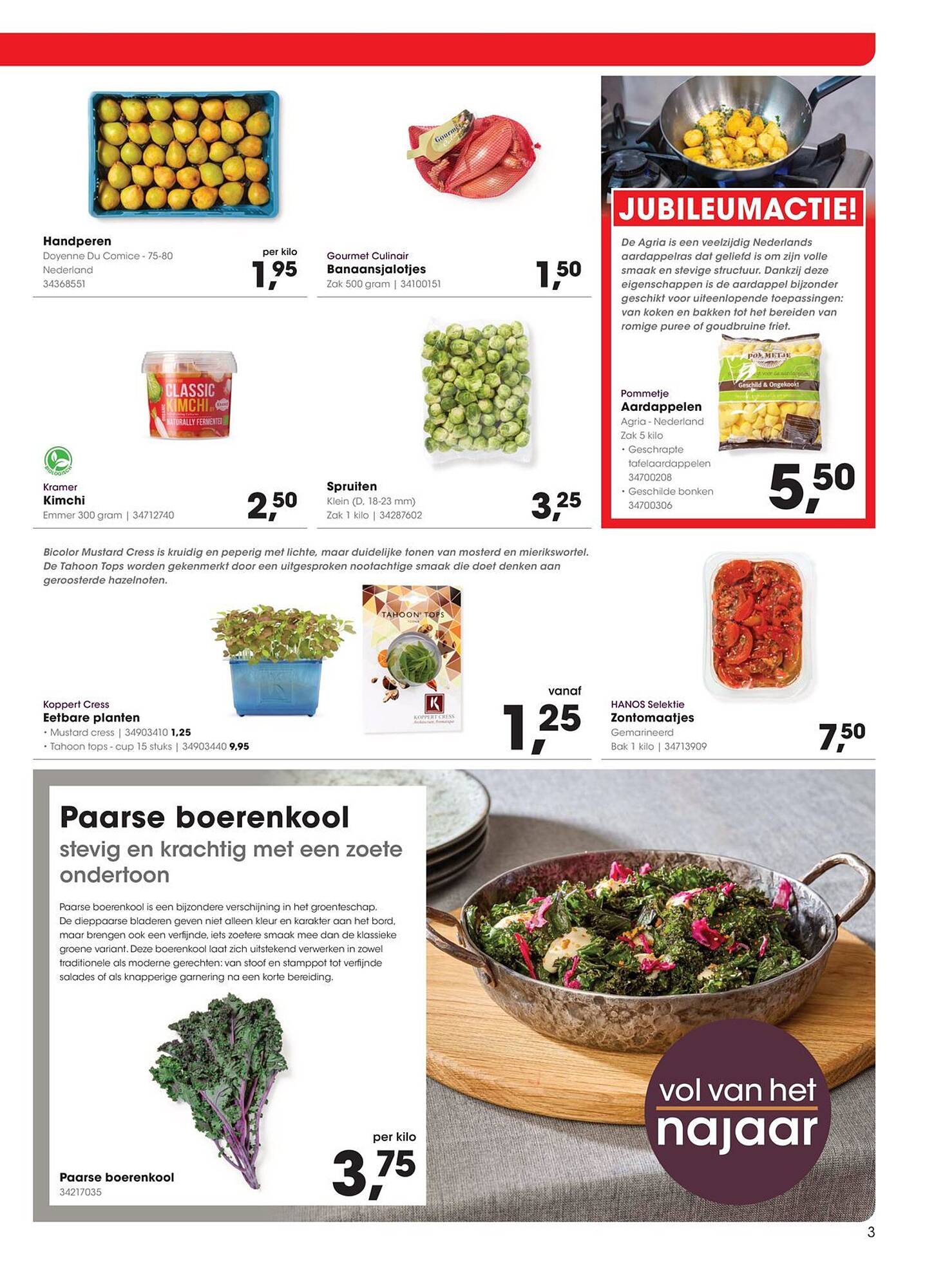 HANOS folder - Pagina 3