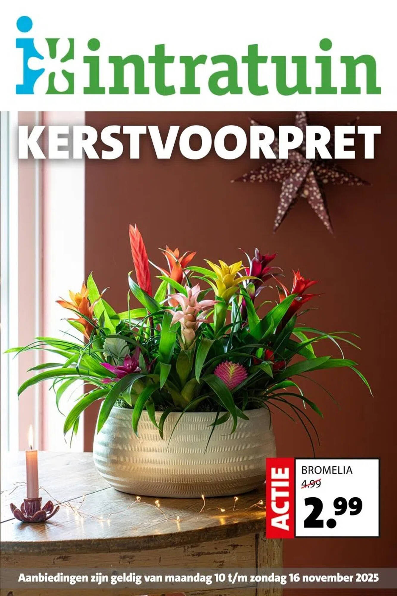 Intratuin folder - Pagina 1