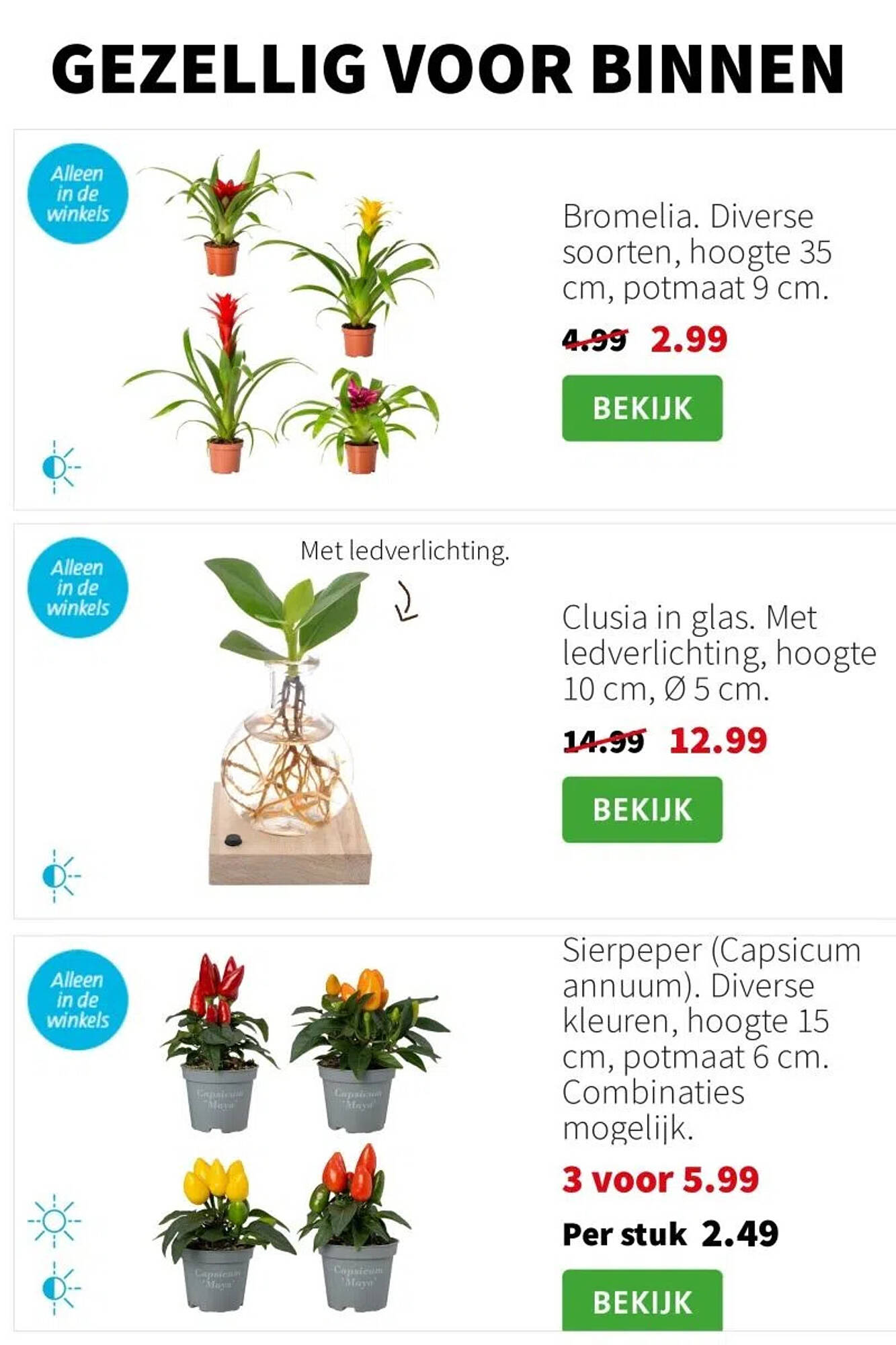 Intratuin folder - Pagina 2