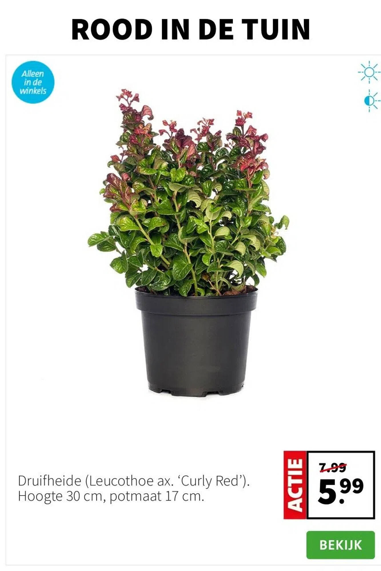 Intratuin folder - Pagina 3