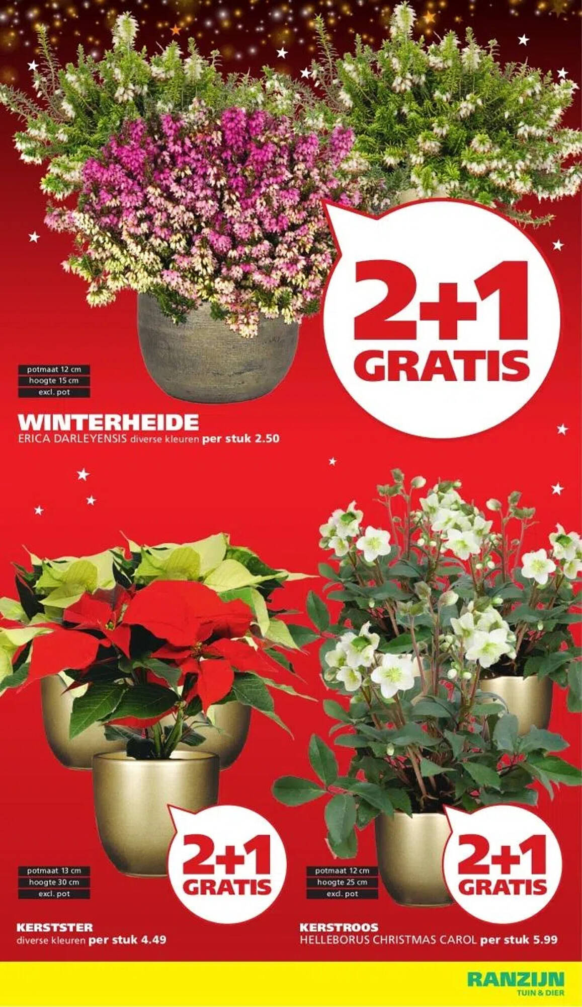 Ranzijn folder - Pagina 3