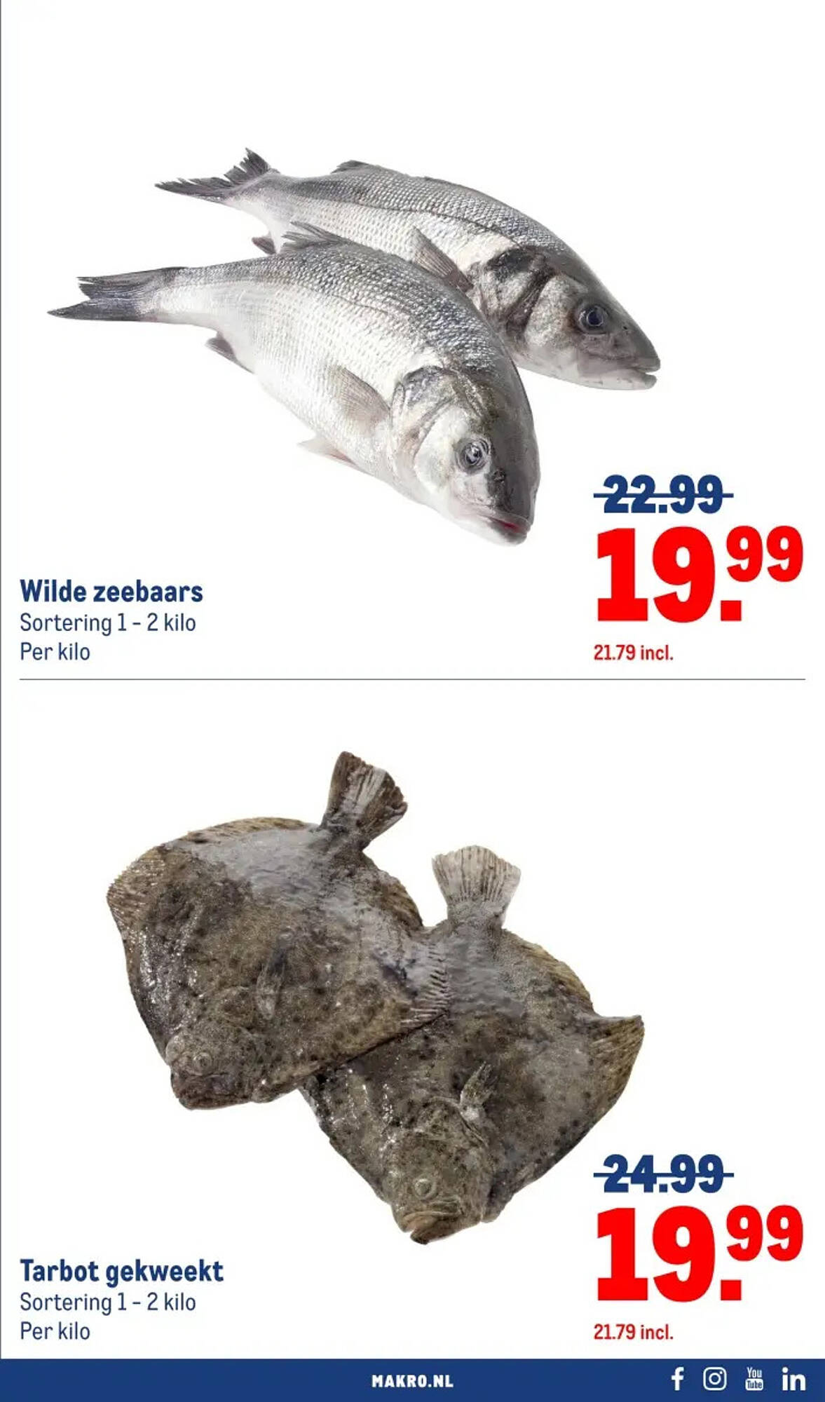 Makro folder - Pagina 3