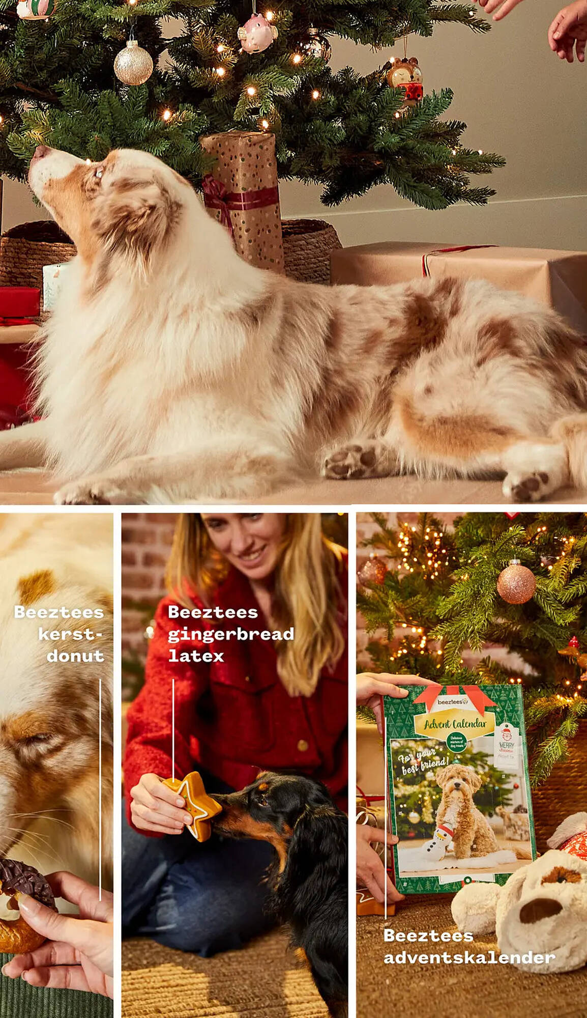 Welkoop folder - Pagina 3