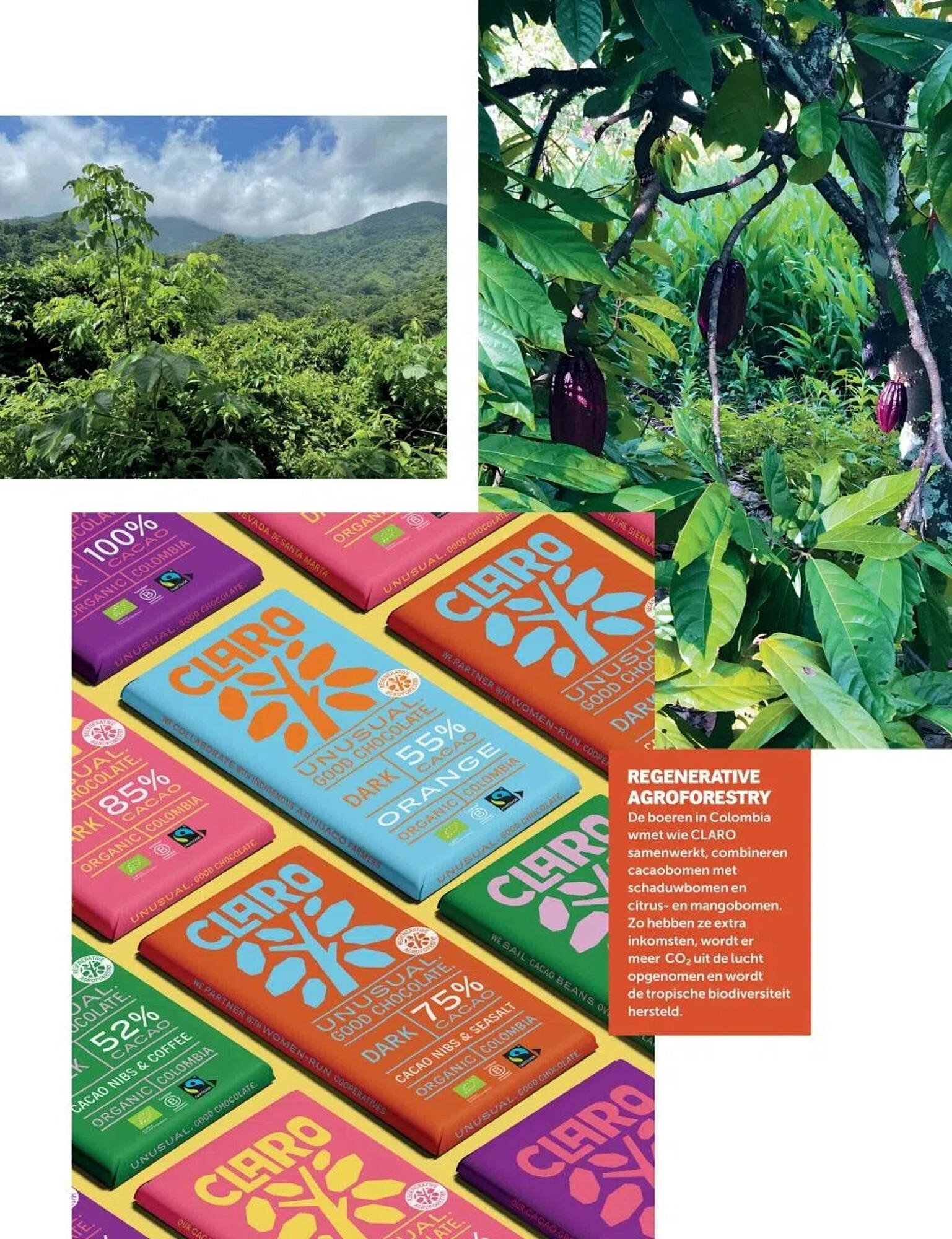 Albert Heijn folder - Pagina 52