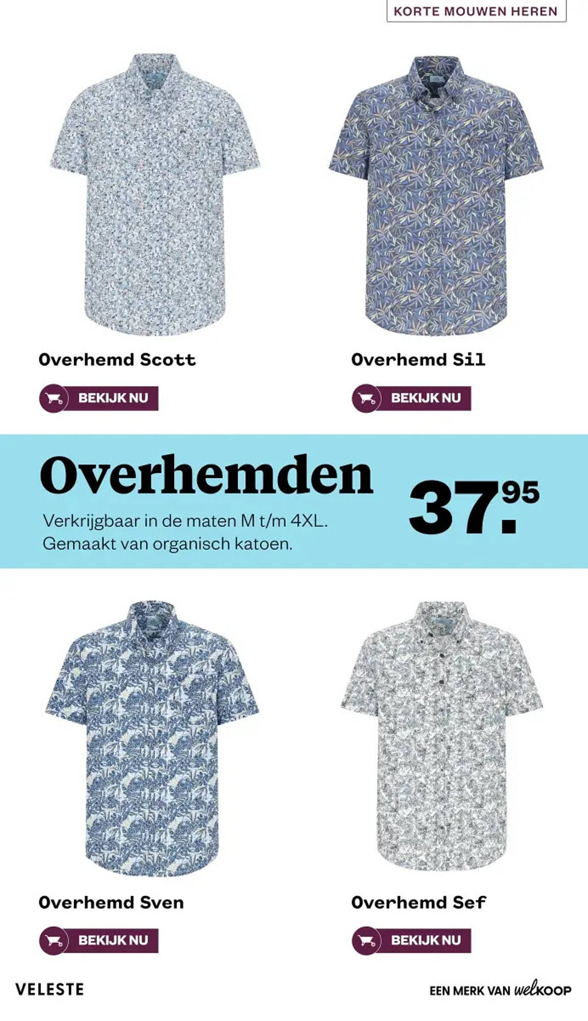 Welkoop folder - Pagina 17