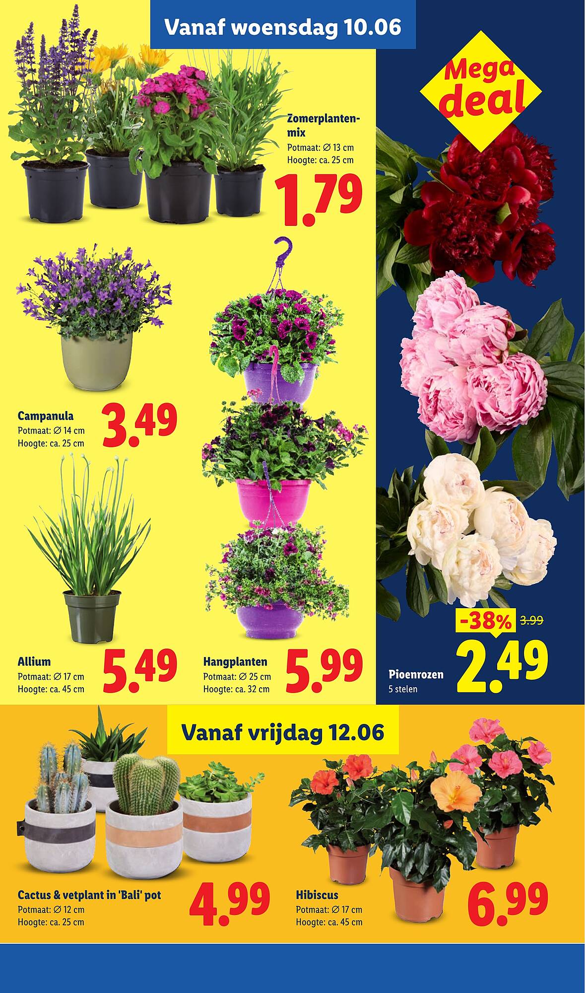 Lidl folder - Pagina 25