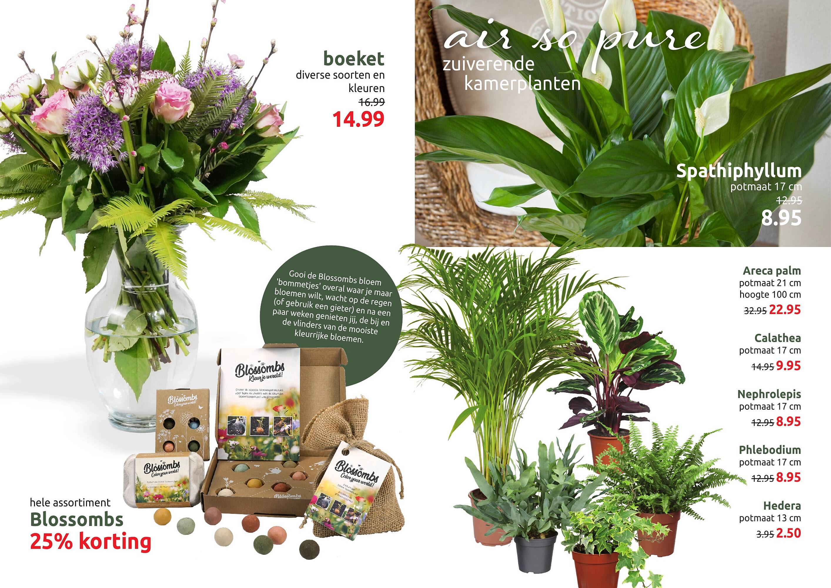 Deka Tuin folder - Pagina 2