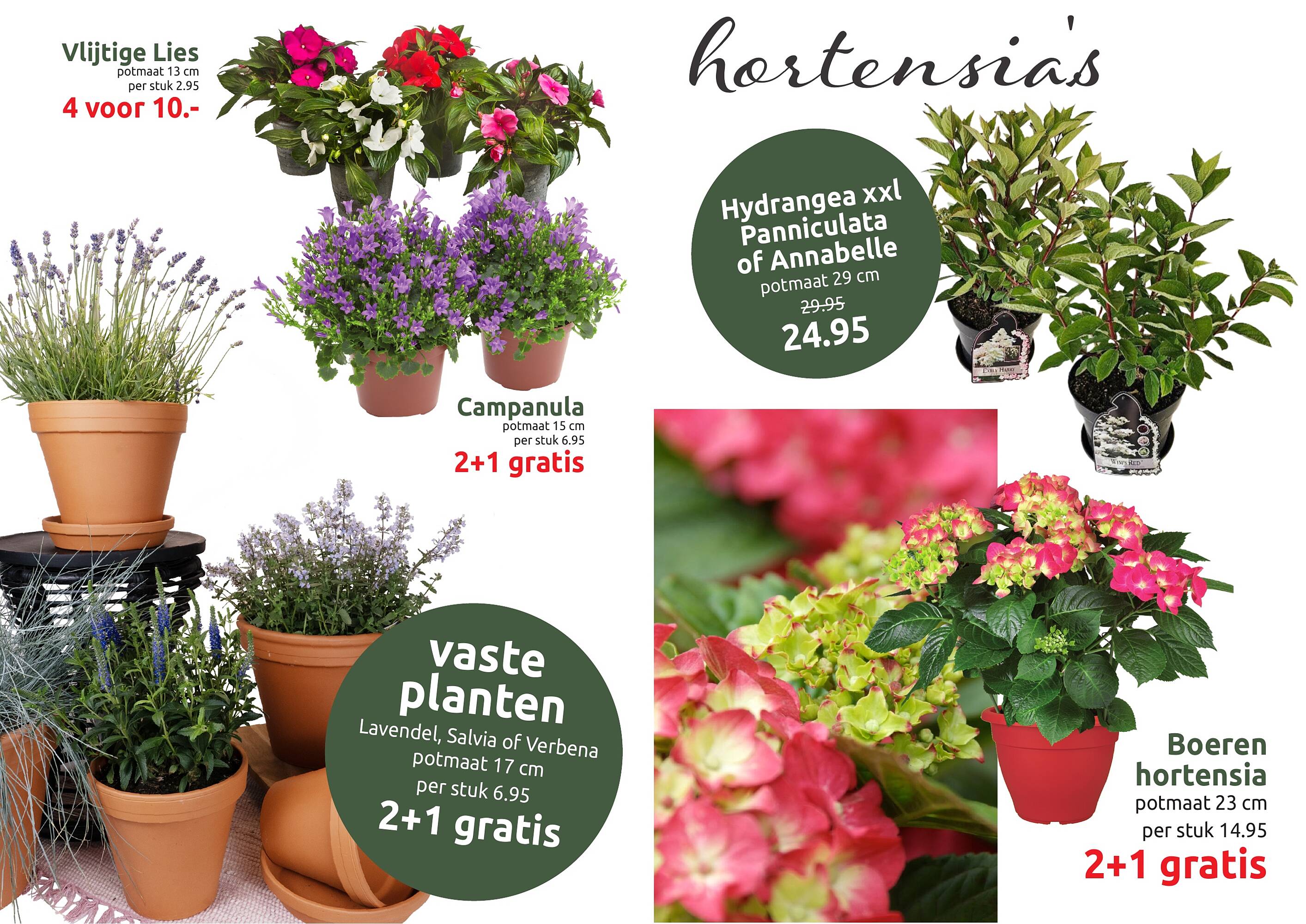 Deka Tuin folder - Pagina 4