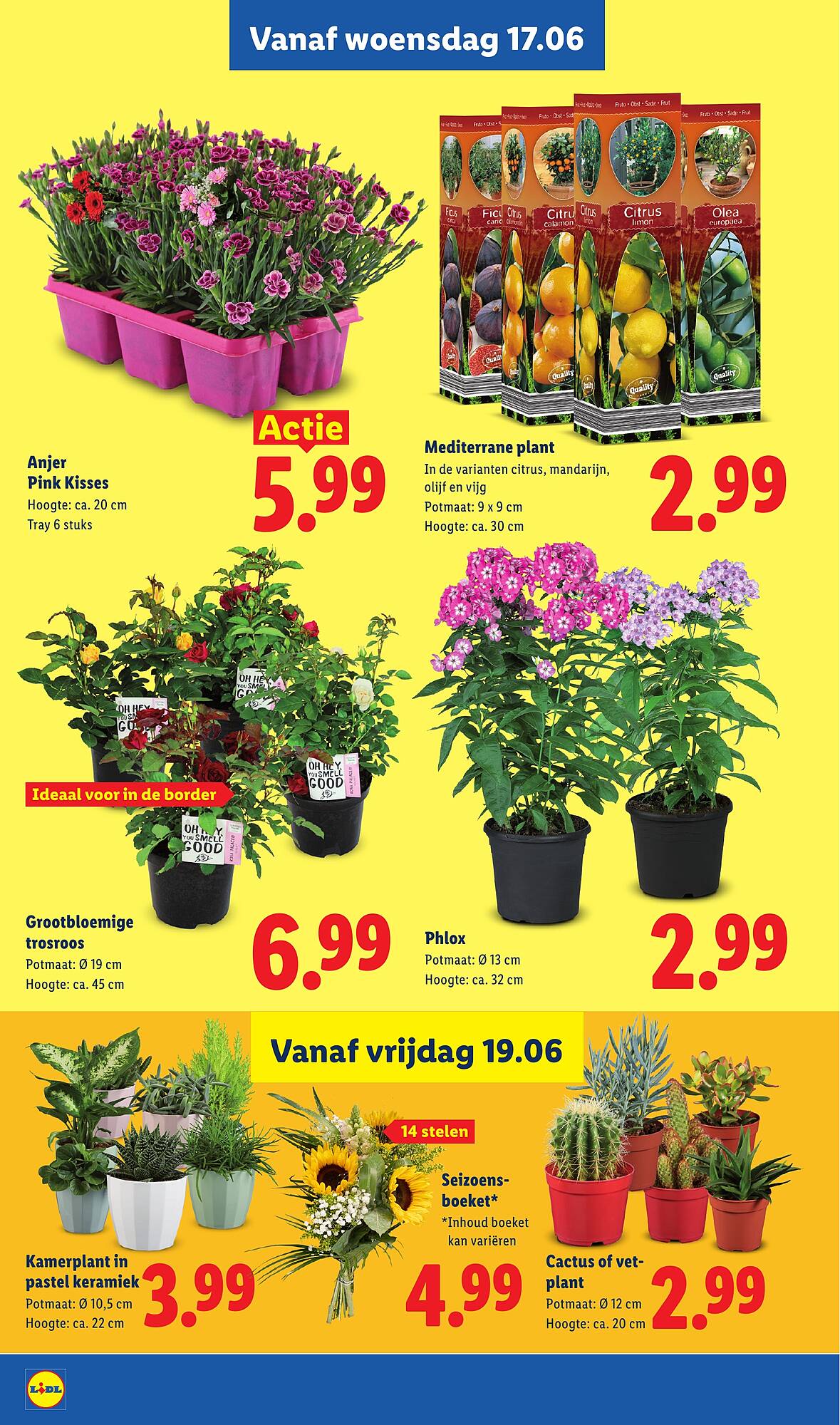 Lidl folder - Pagina 19