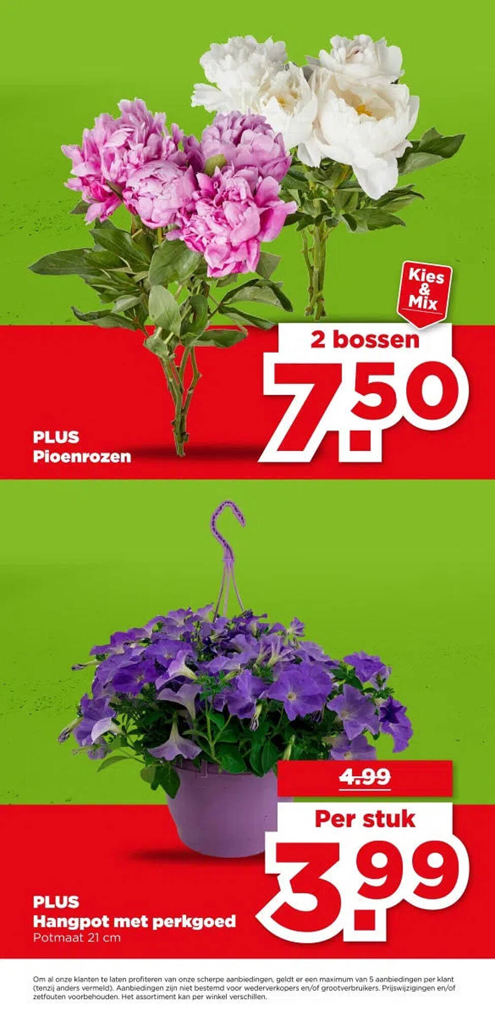 PLUS folder - Pagina 40
