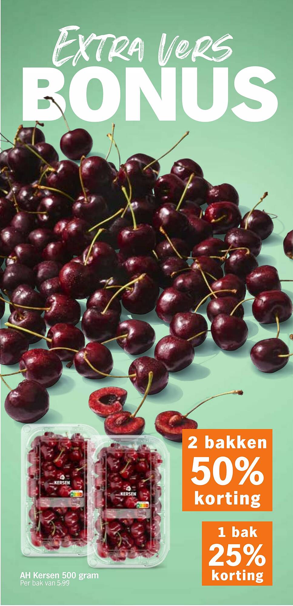 AH XL folder - Pagina 7